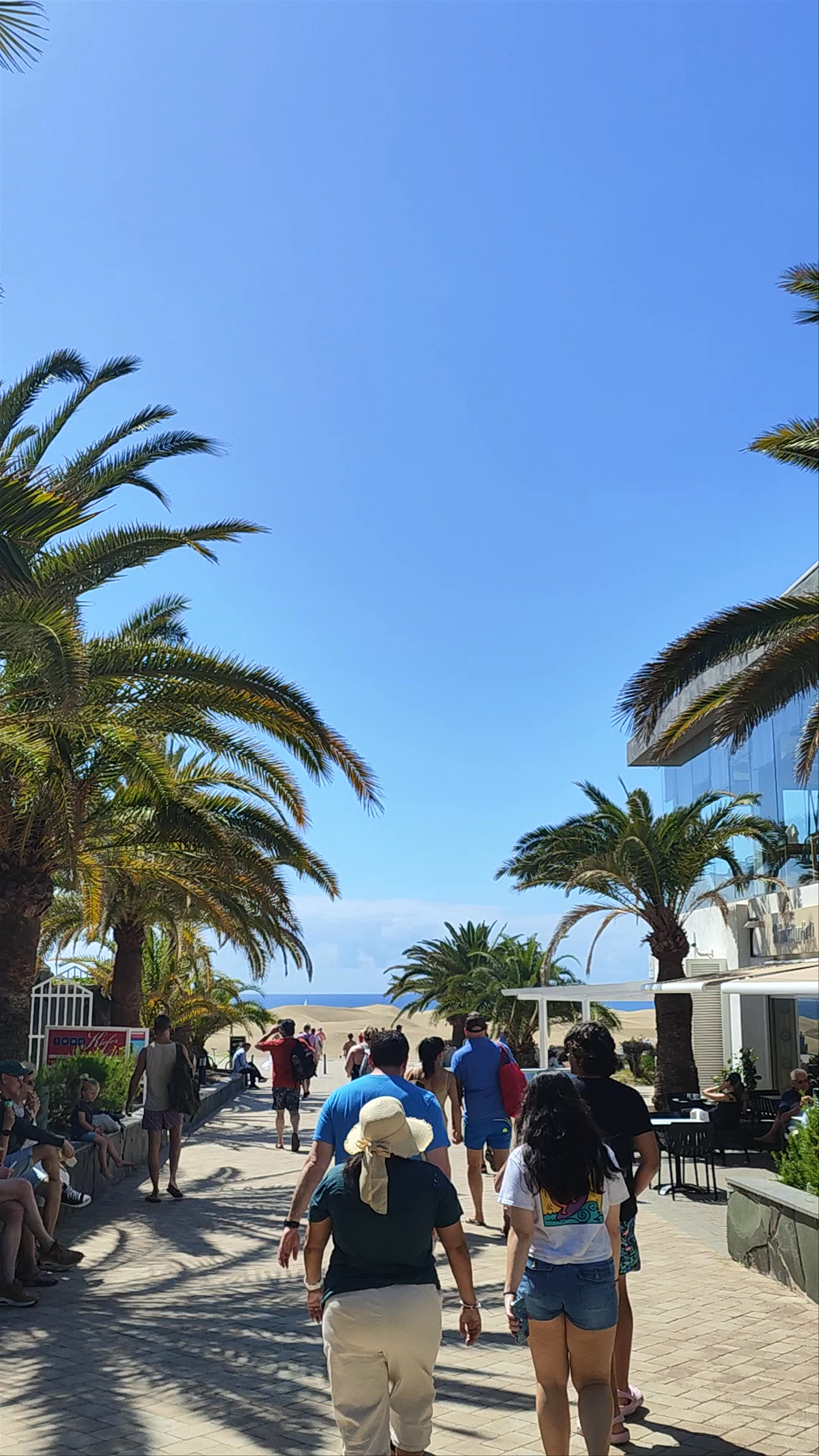 Dunas de Maspalomas: Sun-Kissed Oasis in Maspalomas, Canary Islands