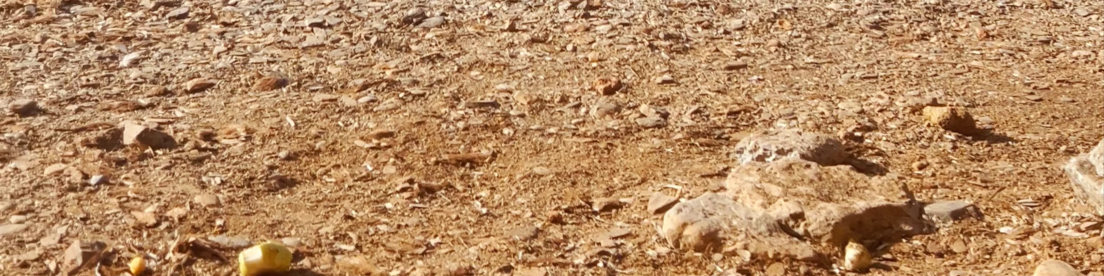 Calafría beach