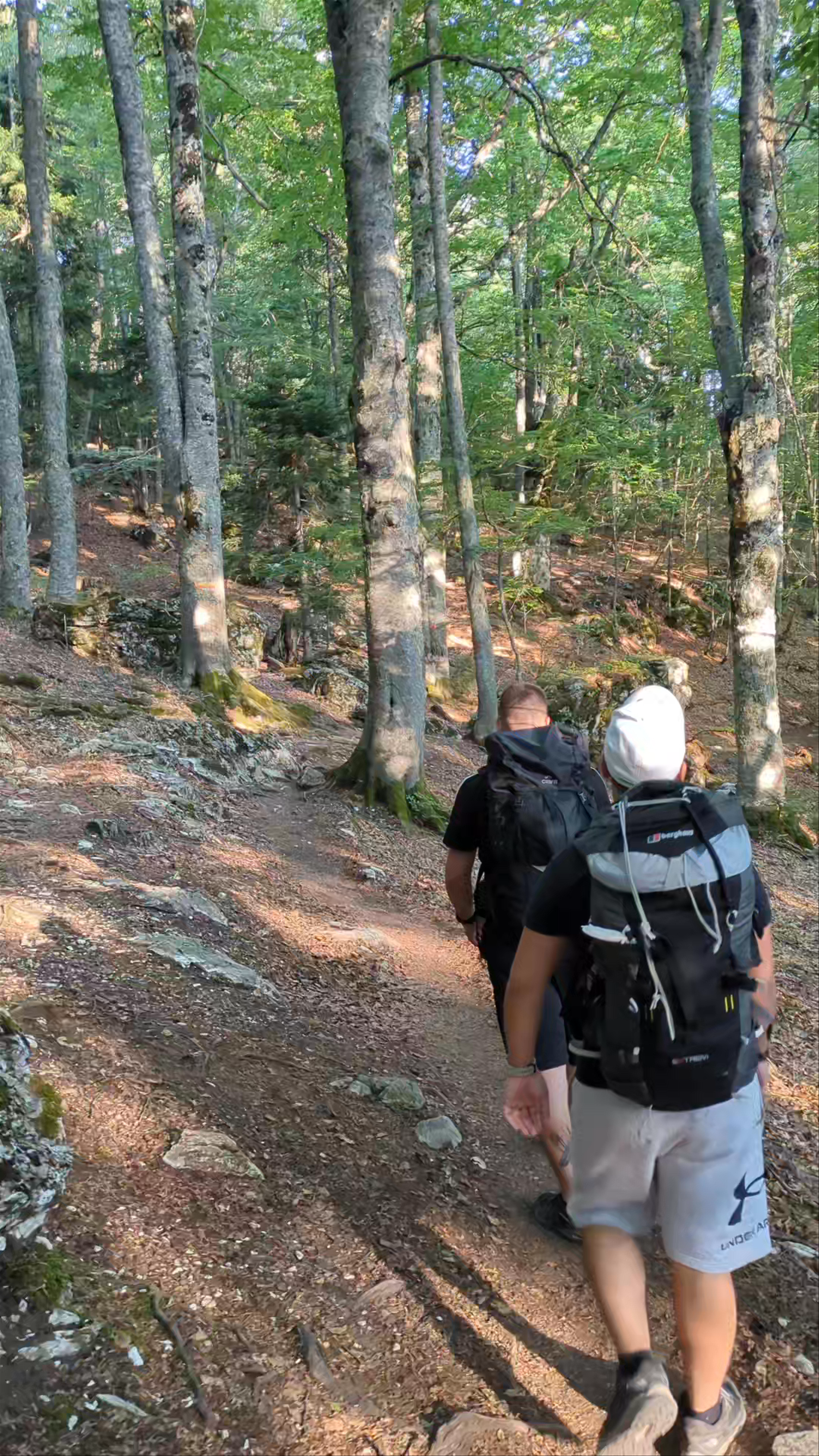 Hiking Adventure Through the Lush Forests of Mount Olympus, Litochoro, Greece