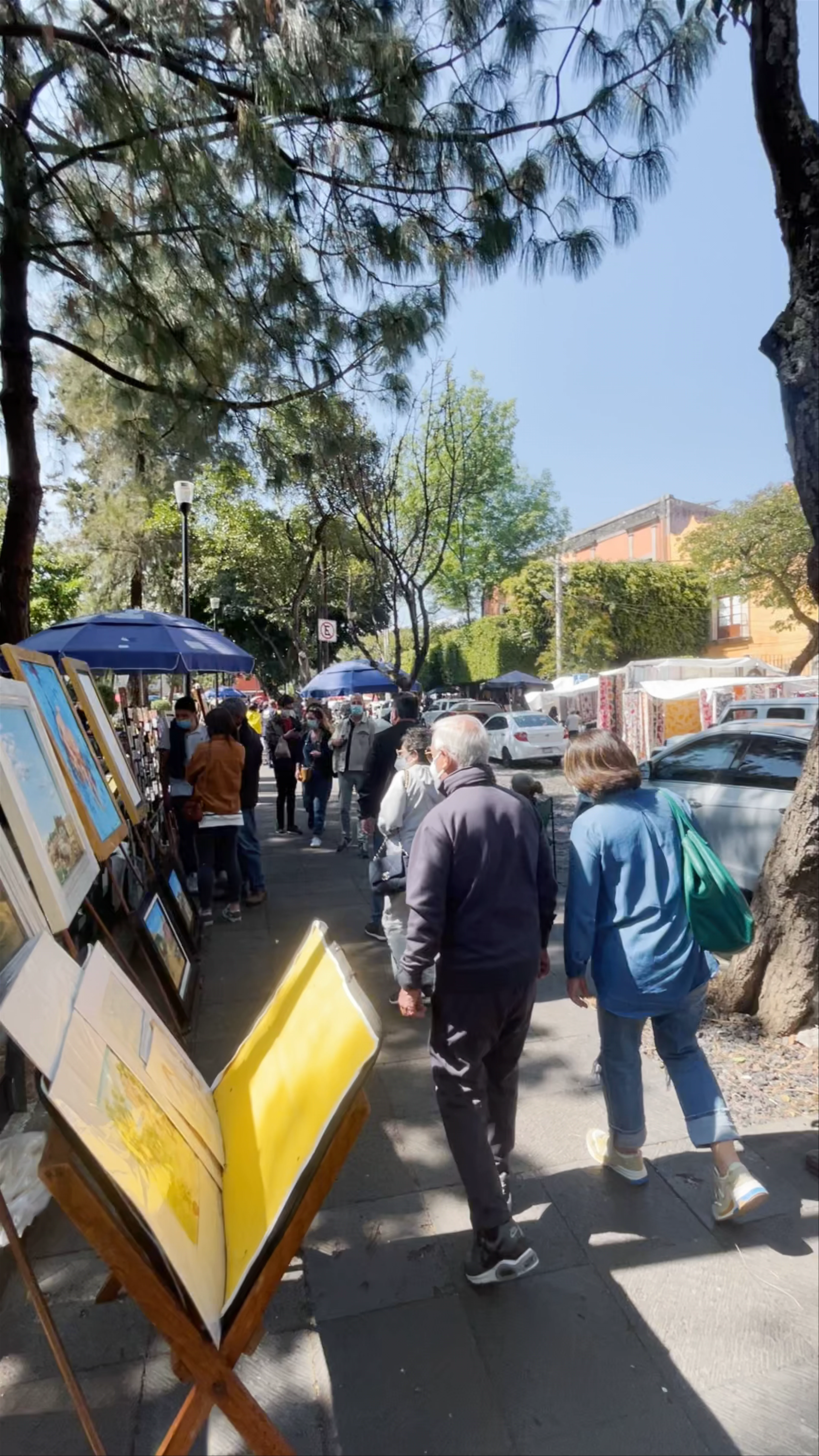 El Bazaar Sábado, Plaza San Jacinto, San Ángel TNT, San Ángel, Mexico City, CDMX, Mexico