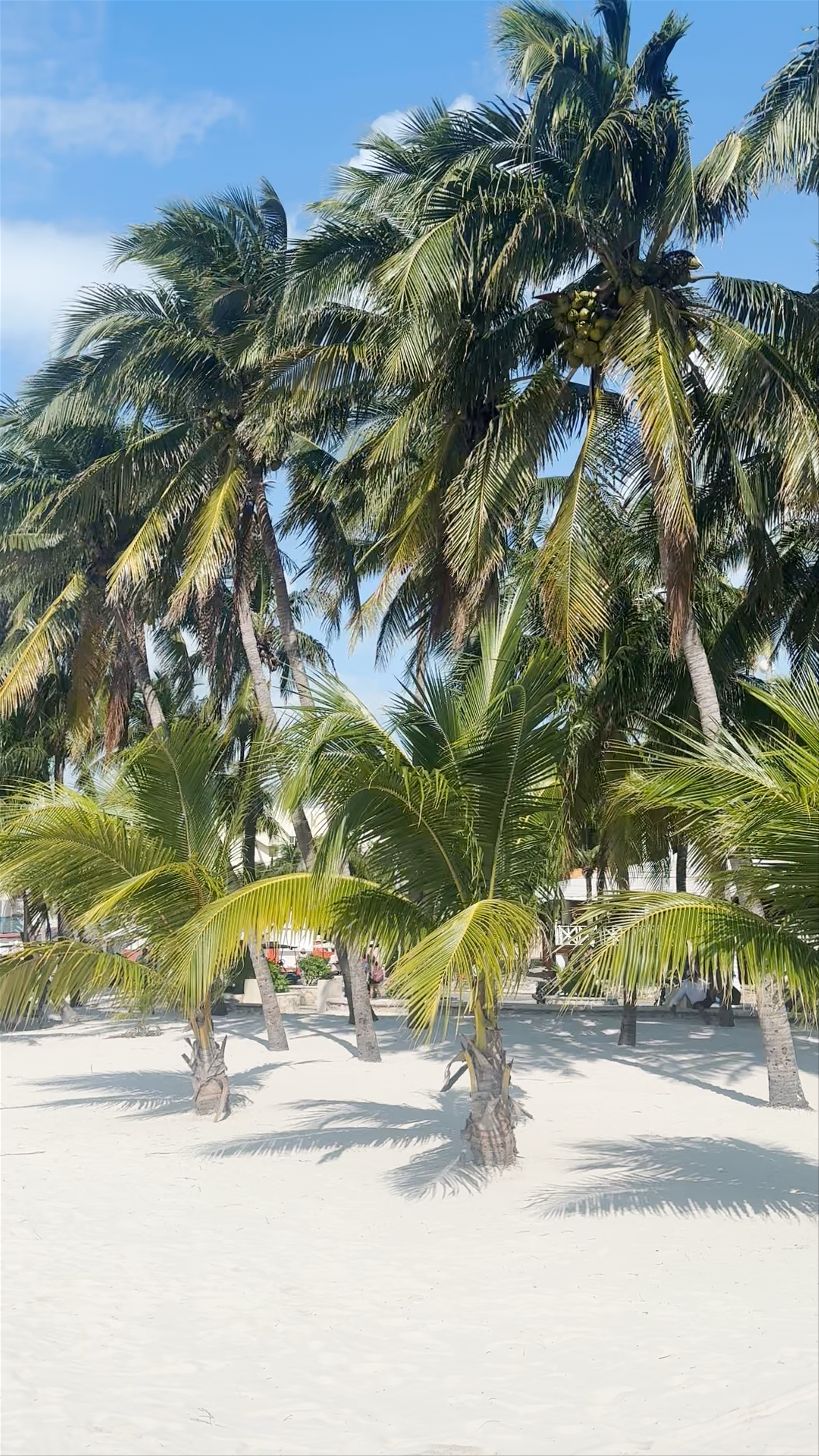 Playa Arena