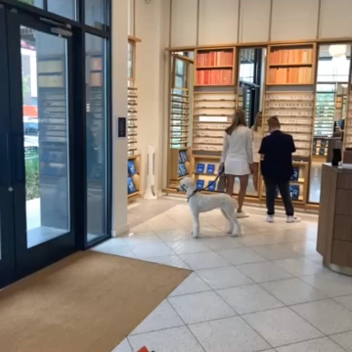 Warby Parker WestBend - Inside - Eyewear & Opticians Near Me - Fort Worth, Texas