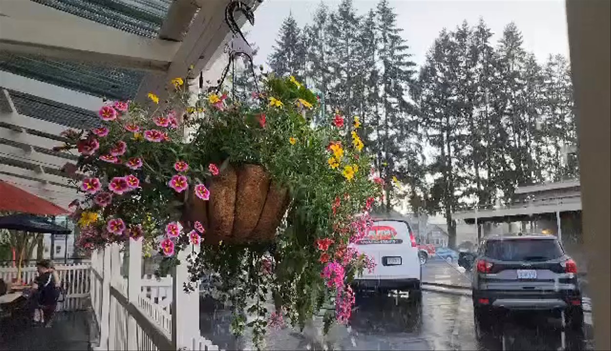 Los Pinos Mexican Restaurant - Patio during a rain storm and 85 degree weather in May. - Mexican Near Me - Orting, Washington