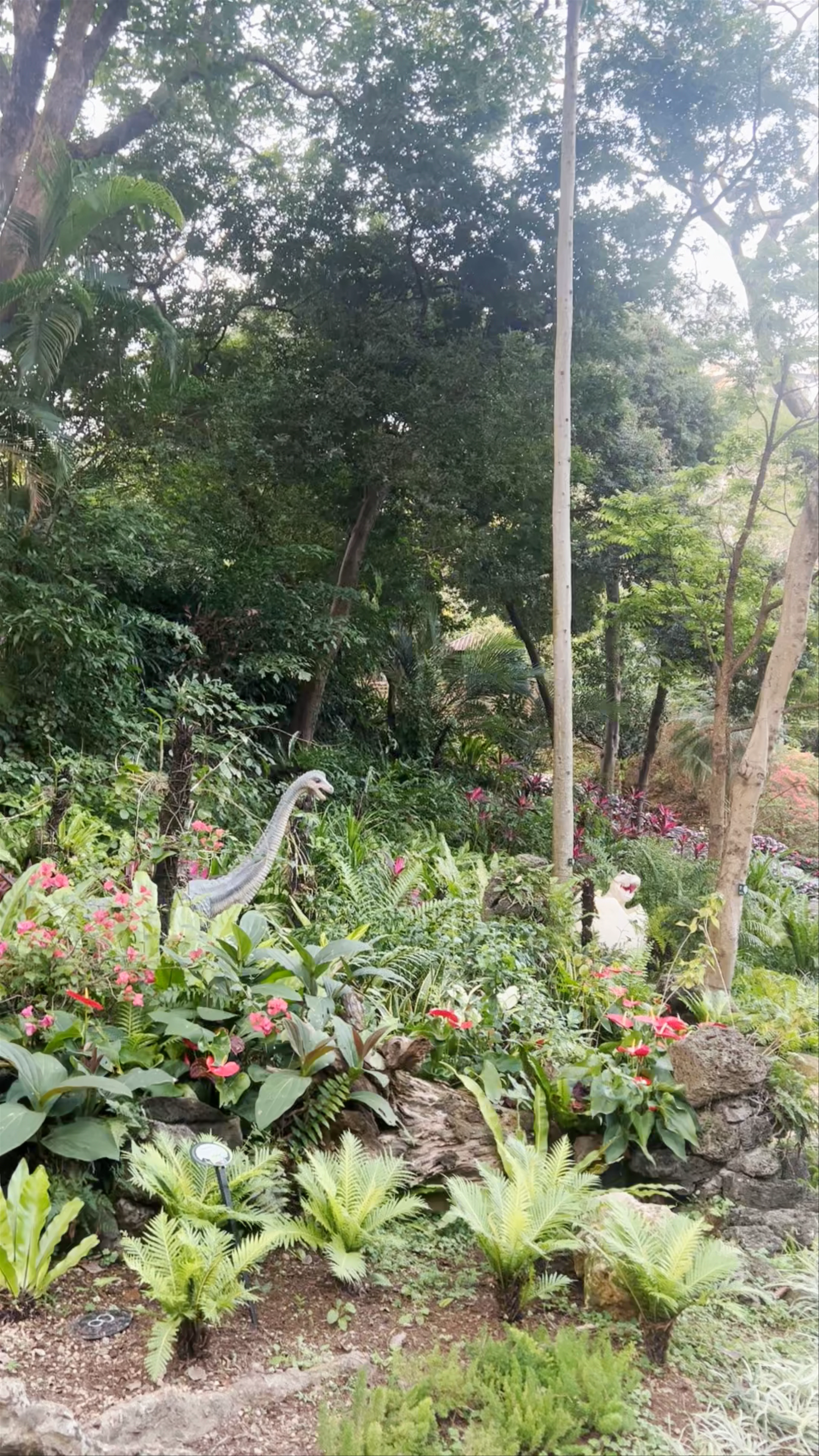 Hong Kong Zoological and Botanical Gardens
