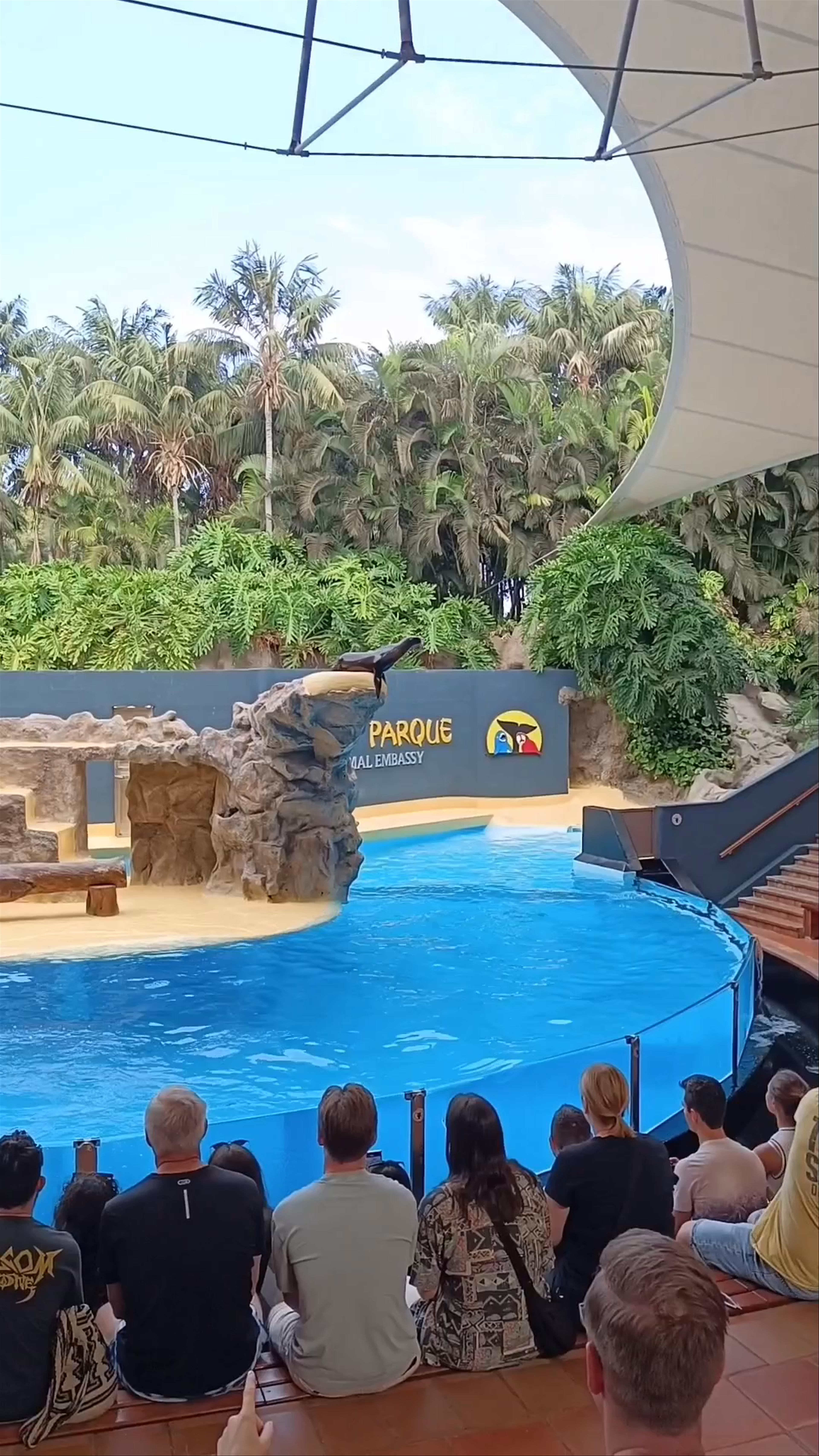 Leones Marinos Show at Loro Parque in Puerto de la Cruz