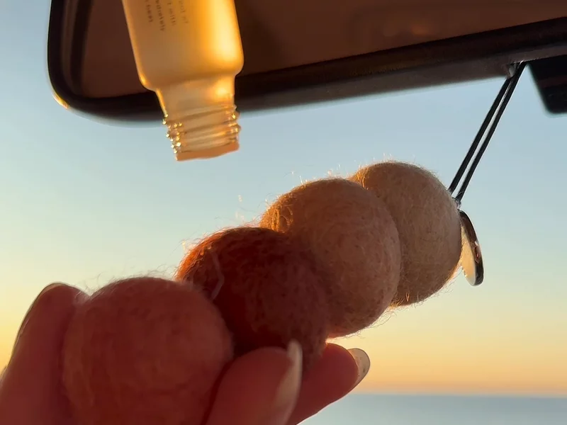 Smelly Balls Air Freshener