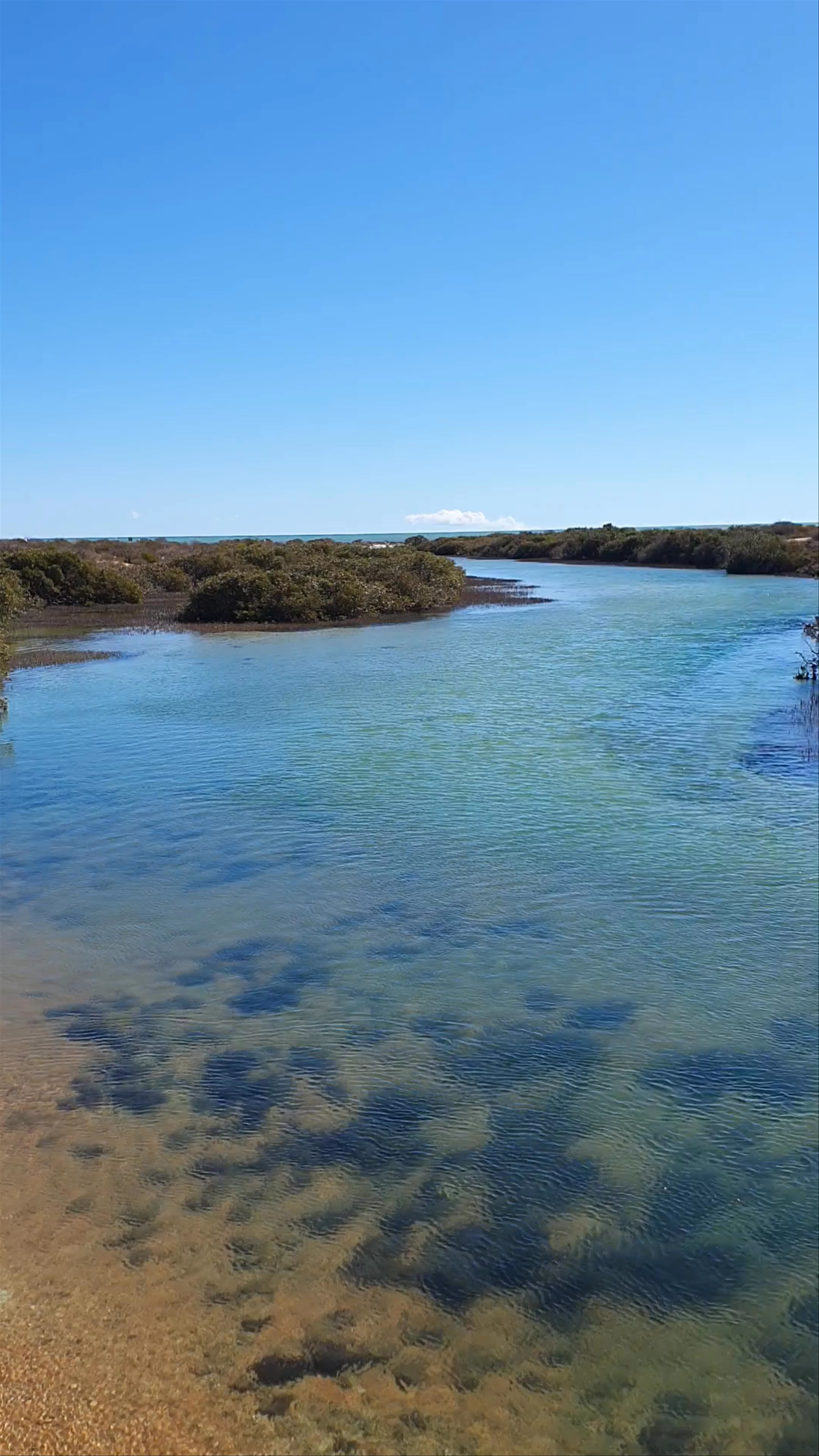 Little Lagoon