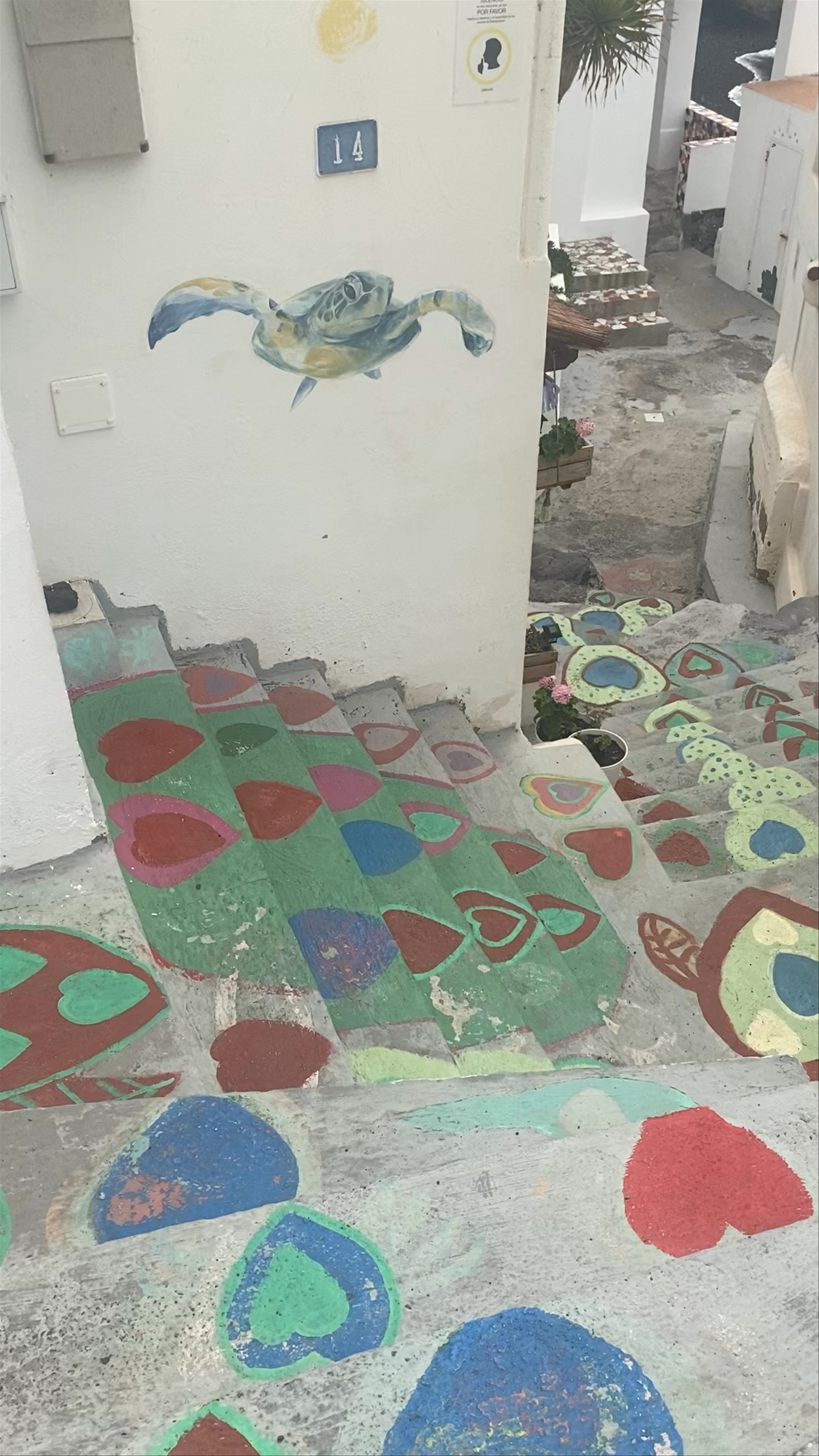 Charming Painted Staircase and Sea Turtle Mural in Bocacangrejo, Spain
