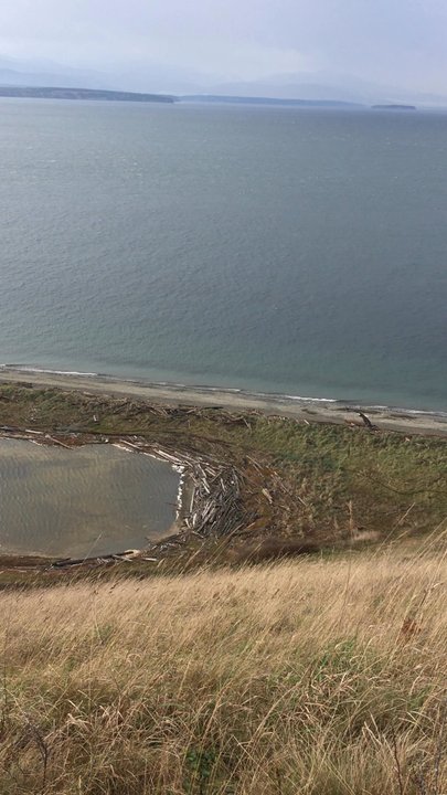 Fort Ebey State Park - Eagle - Parks Near Me - Coupeville, Washington