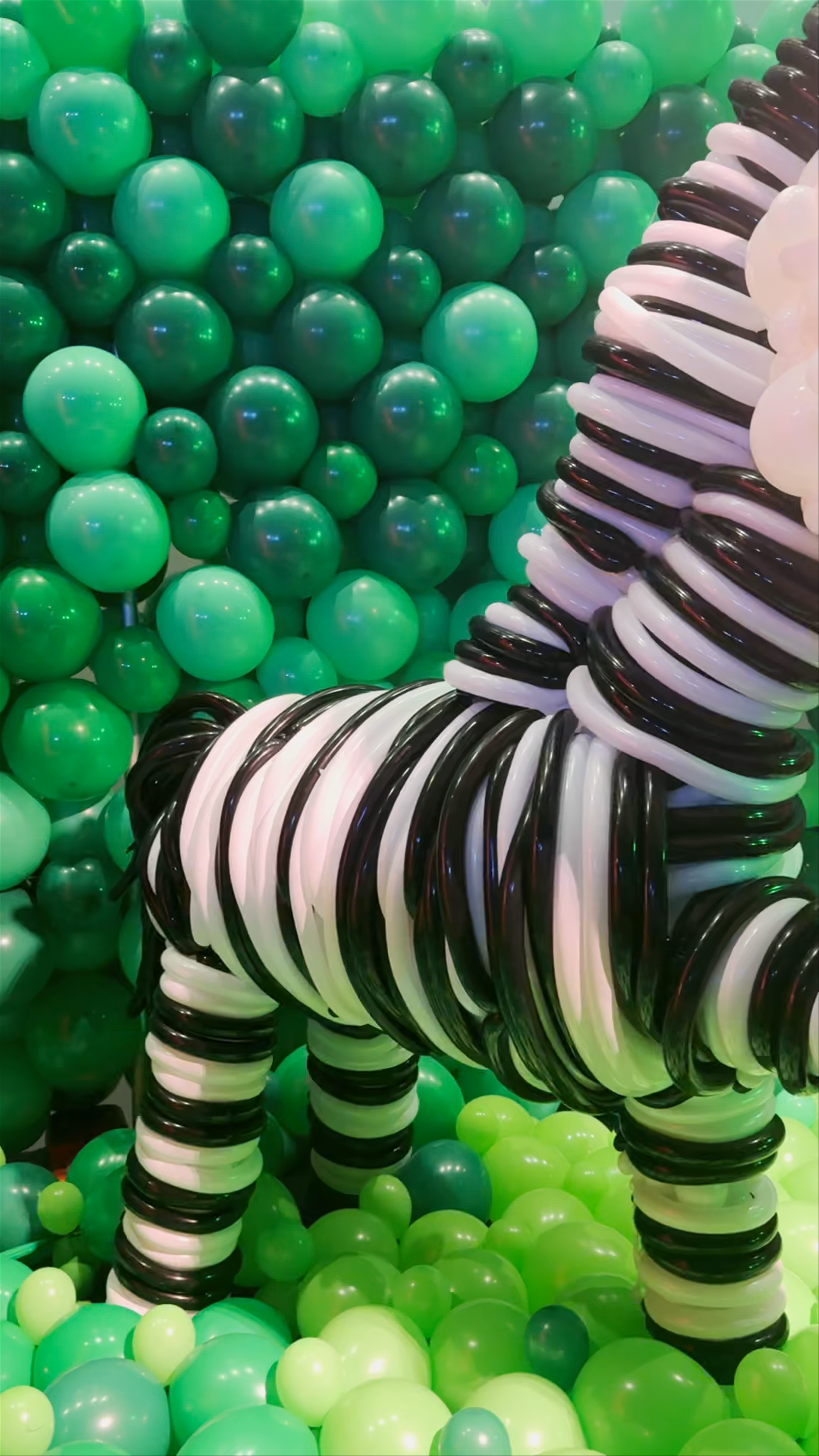 Balloon Story Melbourne