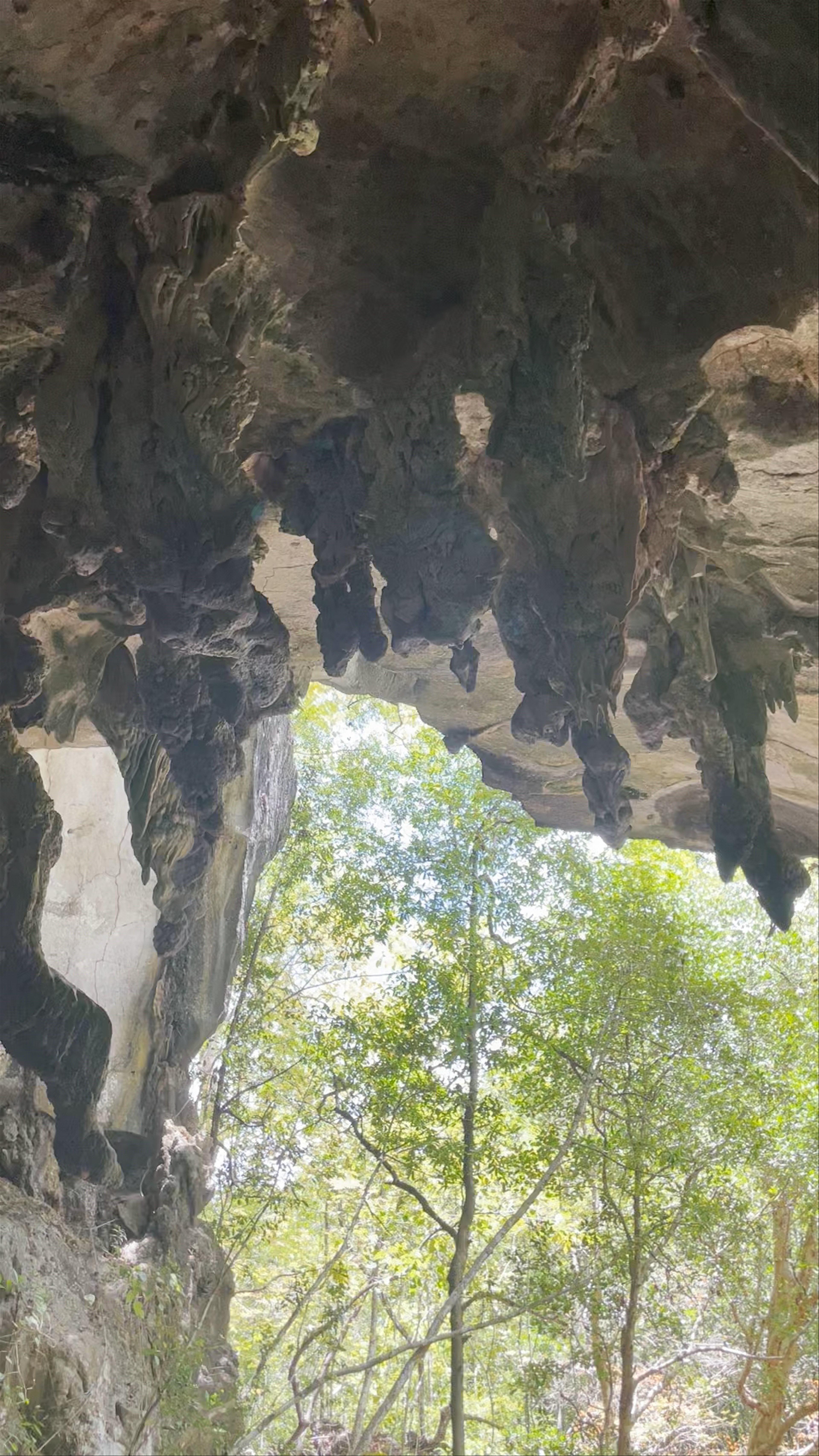 Kilim Geoforest Park