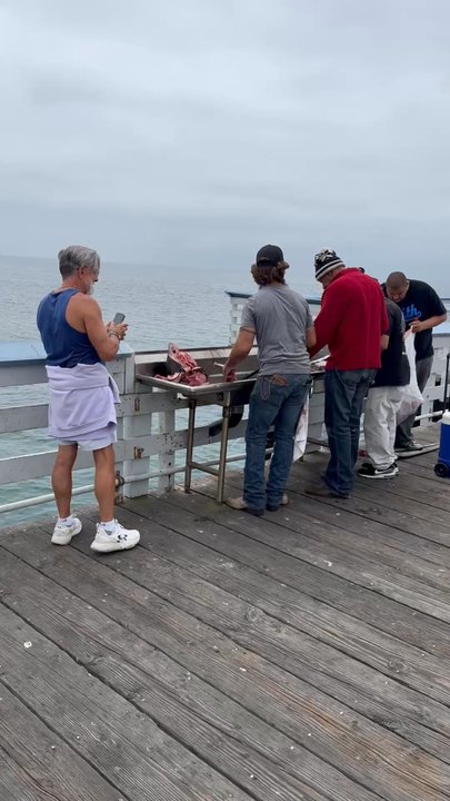 San Clemente Pier - Beaches Near Me - San Clemente, California