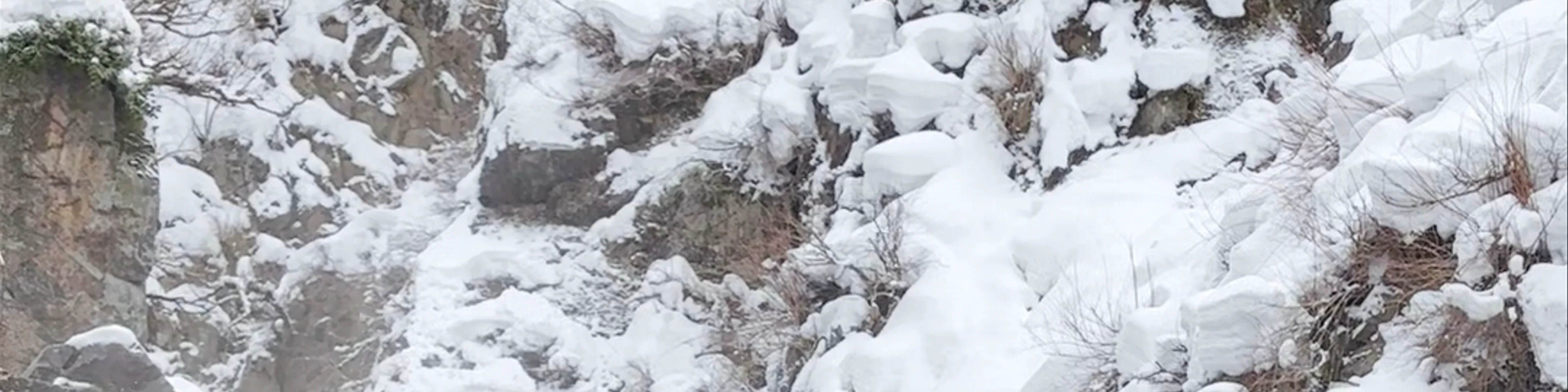 Snow Monkey Park(Jigokudani Yaen Koen)