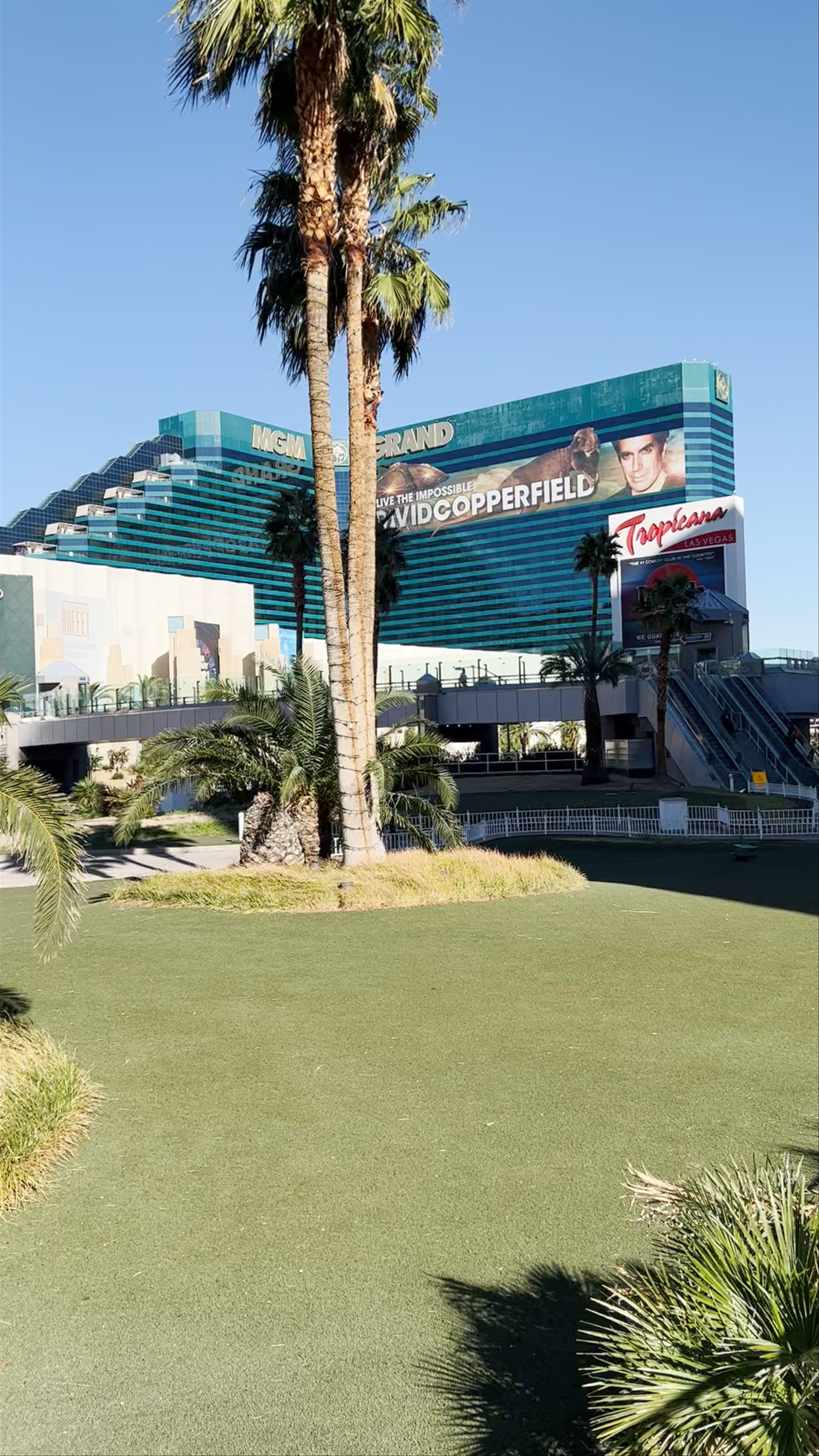 Iconic Las Vegas Strip Views at MGM Grand