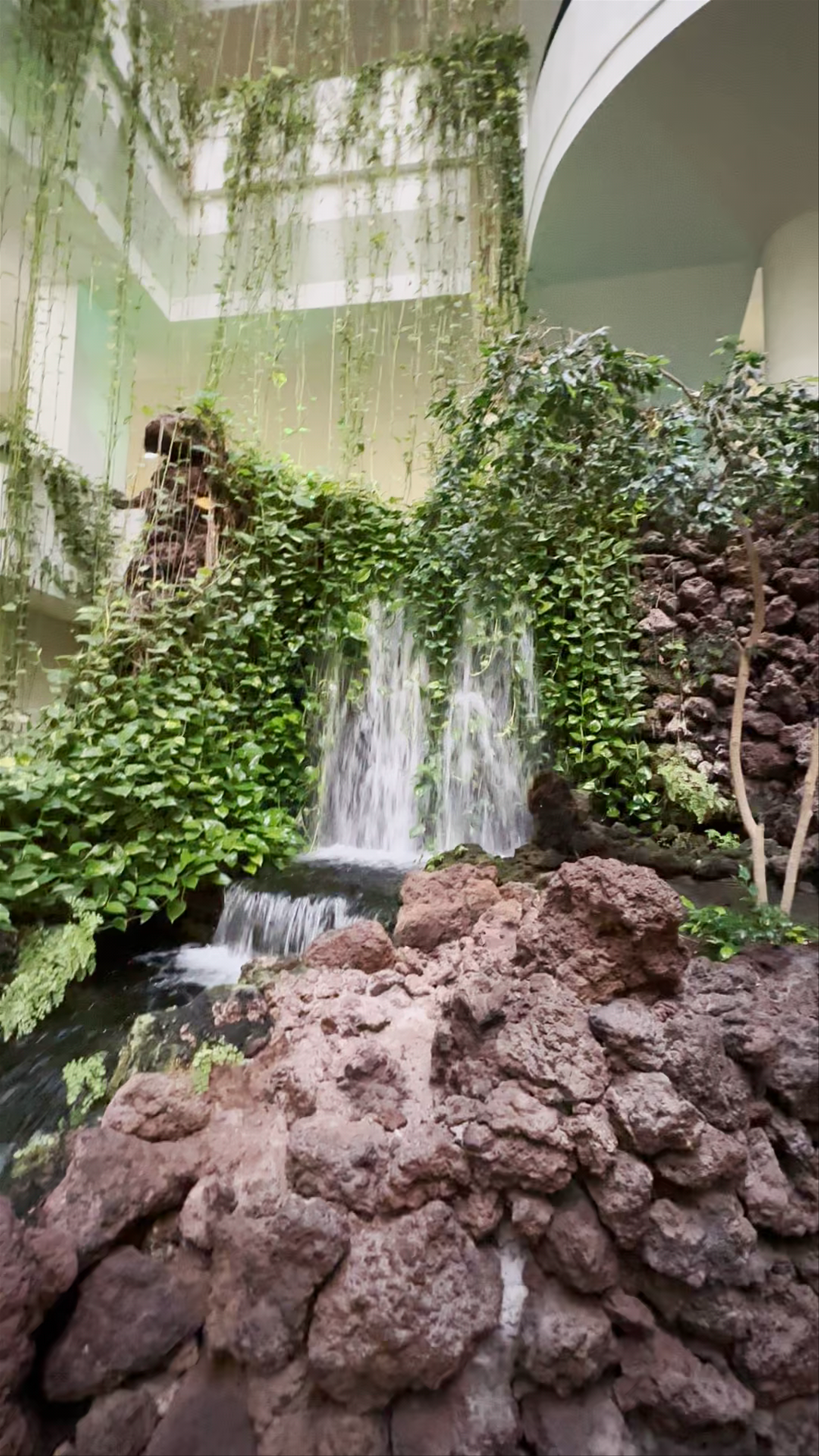 H10 Taburiente Playa