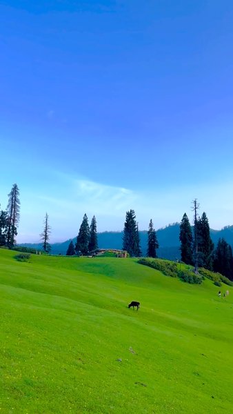 Photo of Valley of Milk.