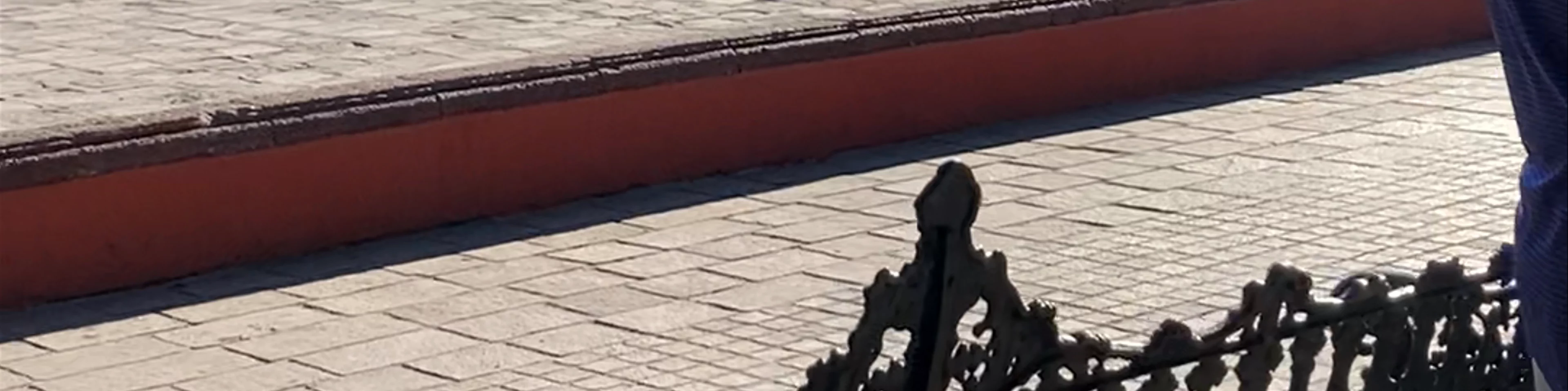 Zócalo Oaxaca