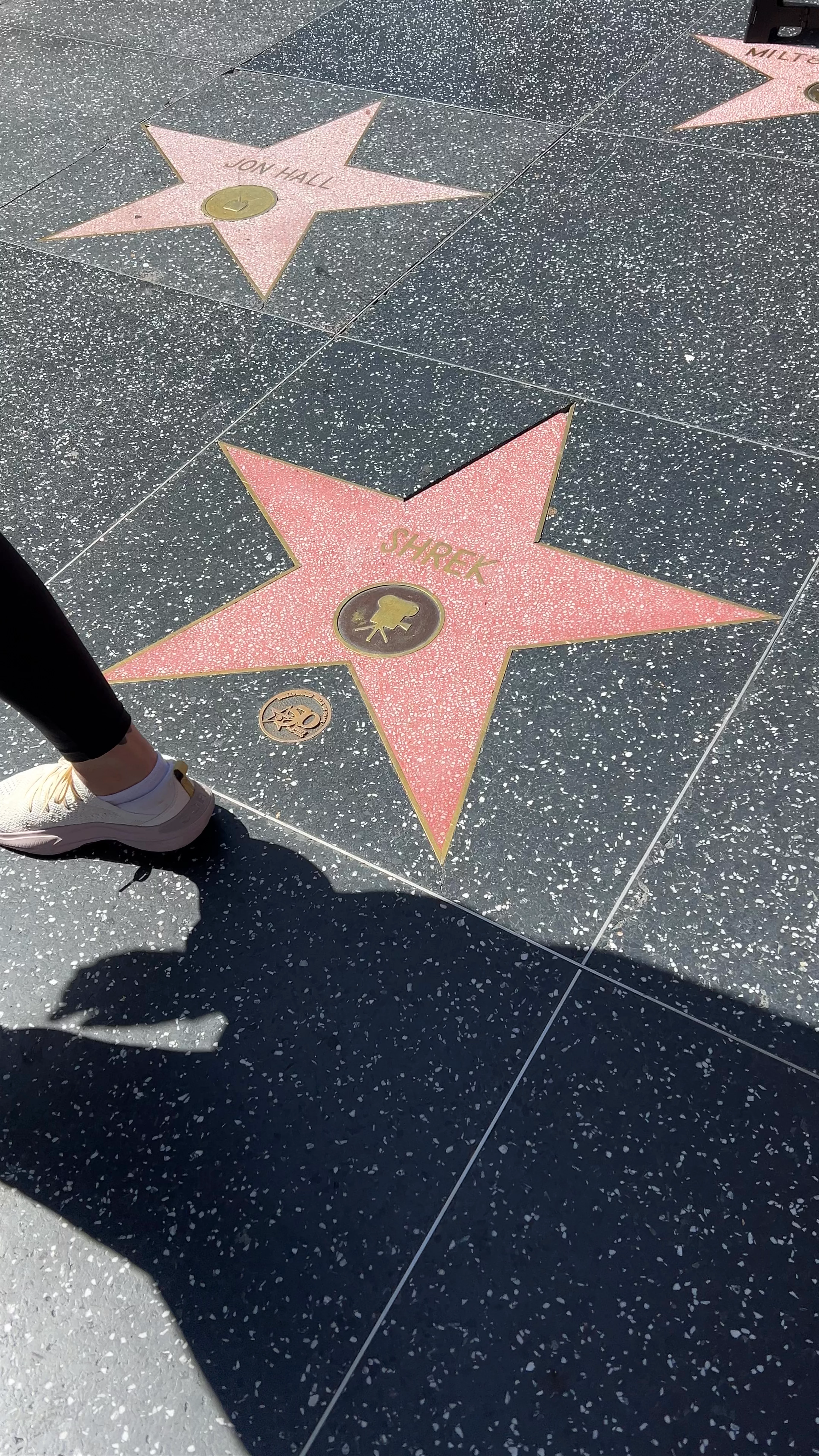 Hollywood Walk of Fame