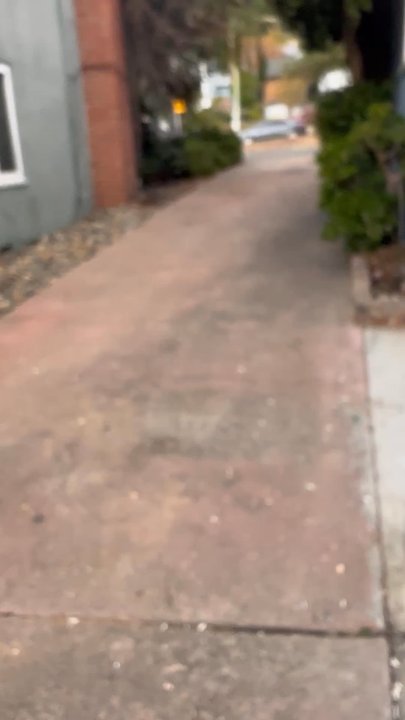 Ziggy Hauls - Junk Removal & Hauling Near Me - Alameda, California