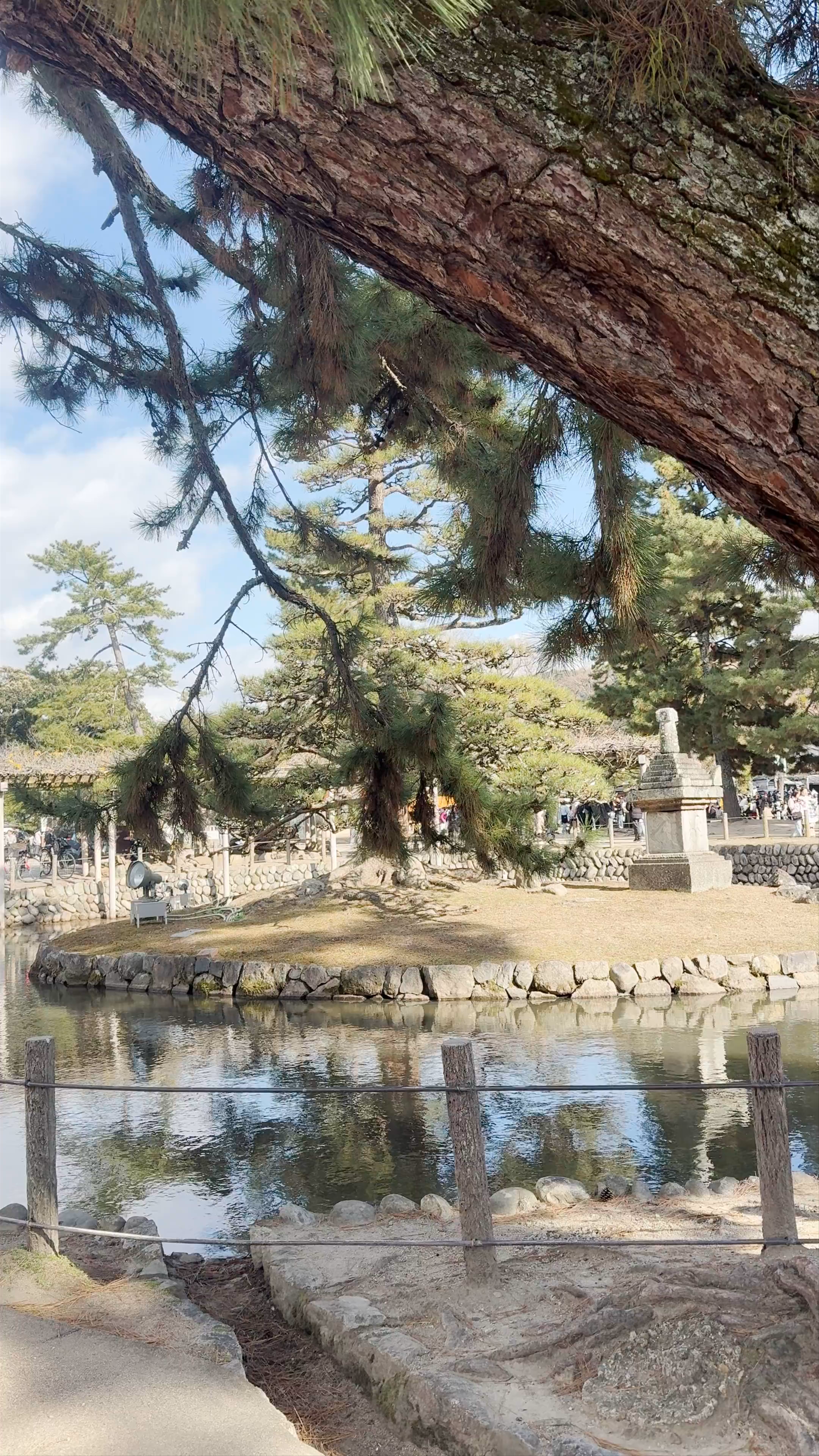 Tranquil Serenity at Todaiji Kagami-ike Pond in Nara, Japan