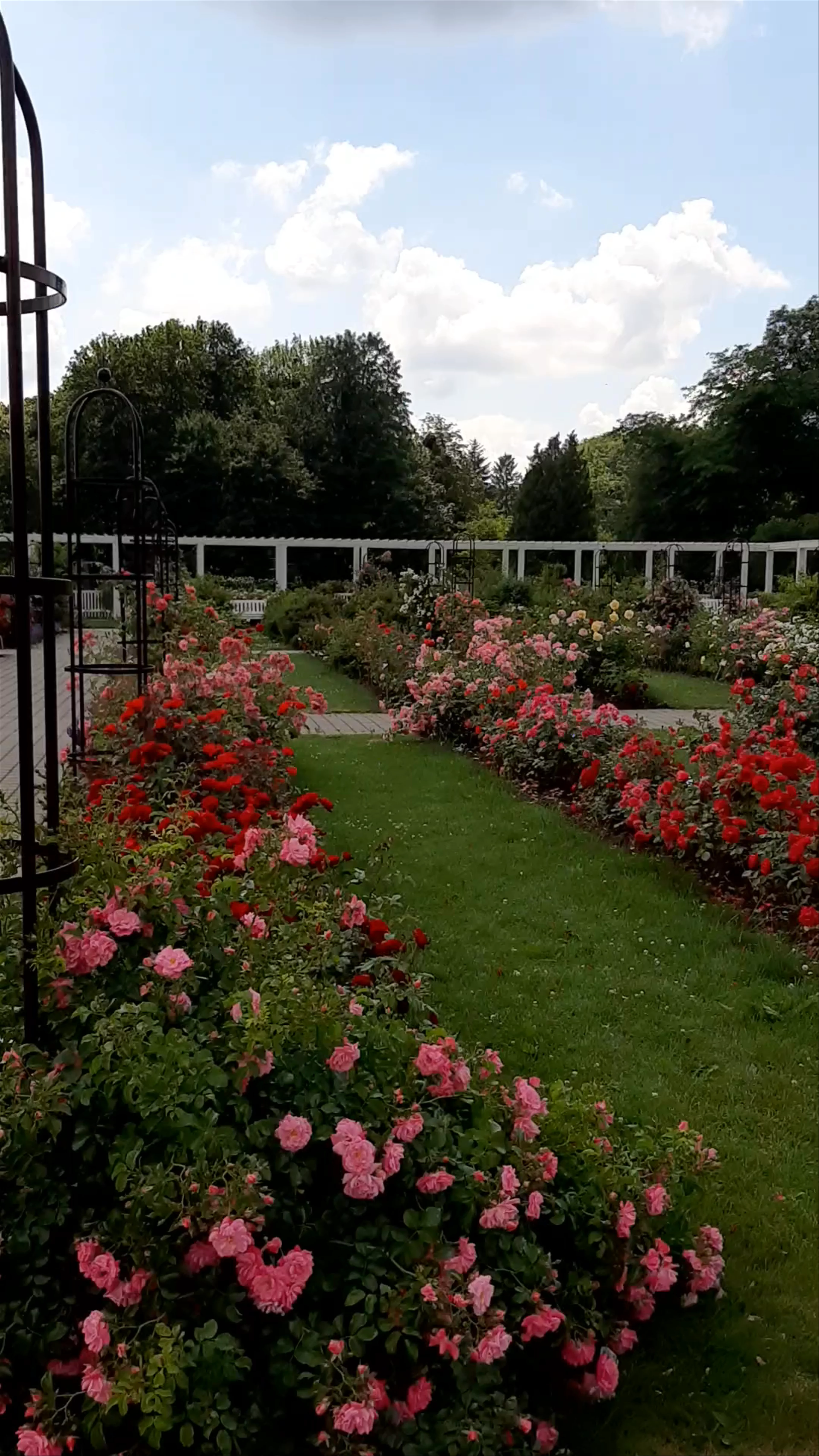 Vytautas Magnus University Botanical Garden