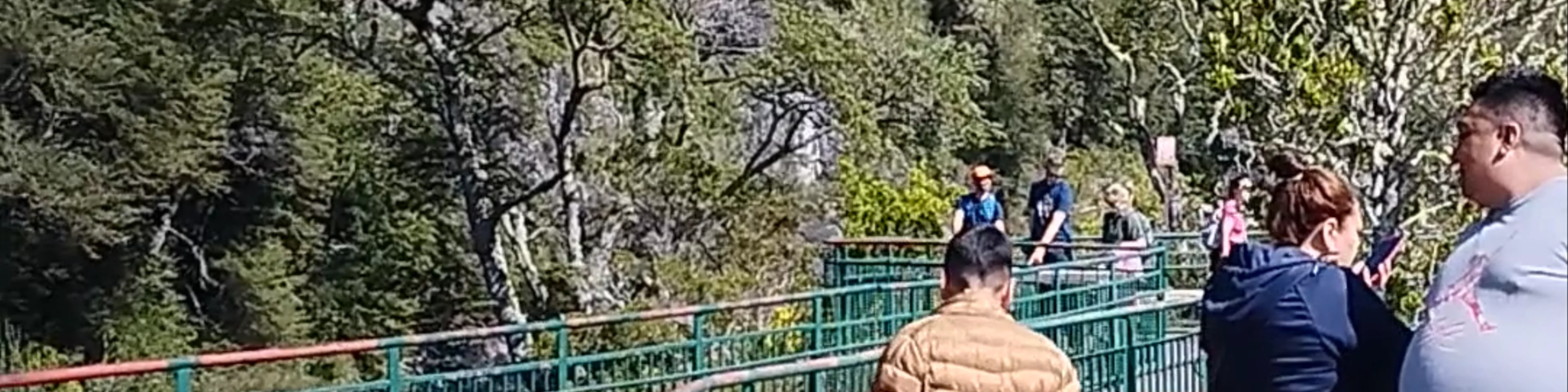 Parque Nacional Vicente Pérez Rosales