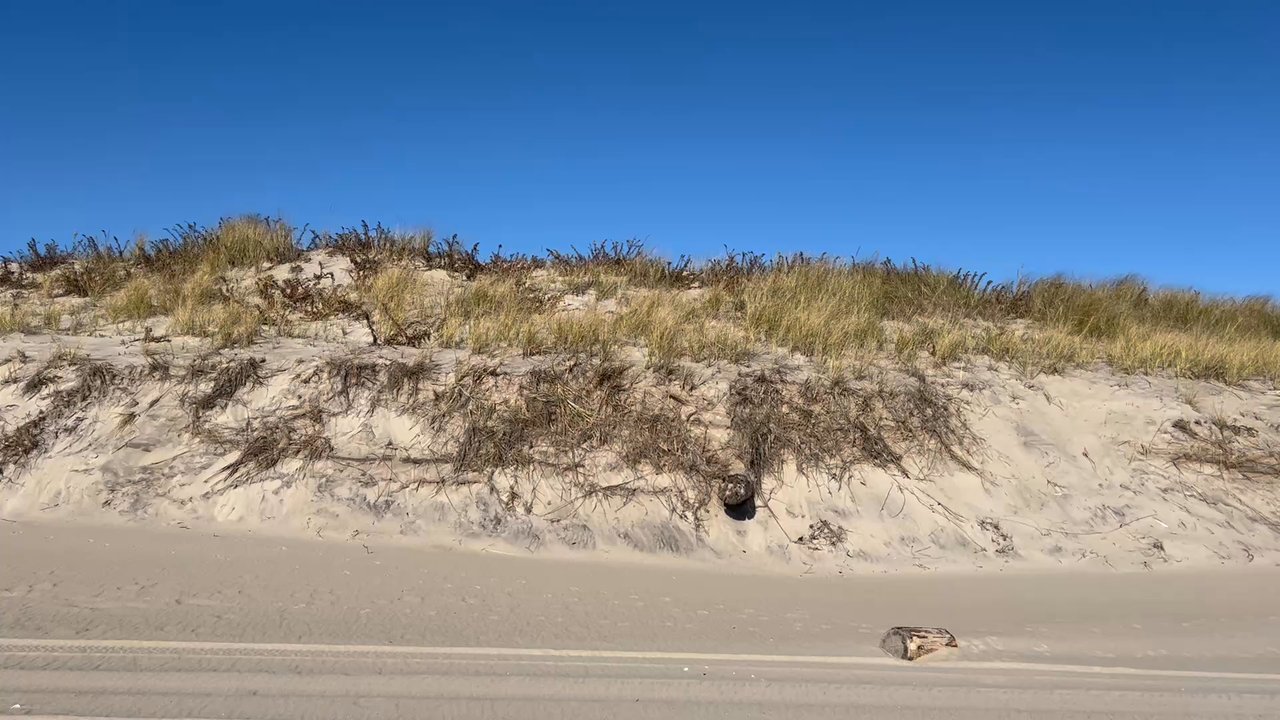 Hither Hills State Park - Monday Morning Stroll - Parks Near Me - Montauk, New York