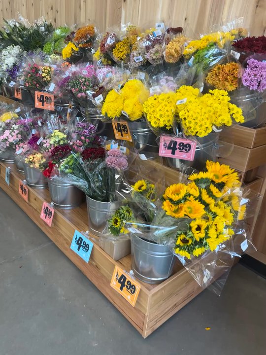 Trader Joe's - Always love their fresh flowers! - Grocery Near Me - Chandler, Arizona