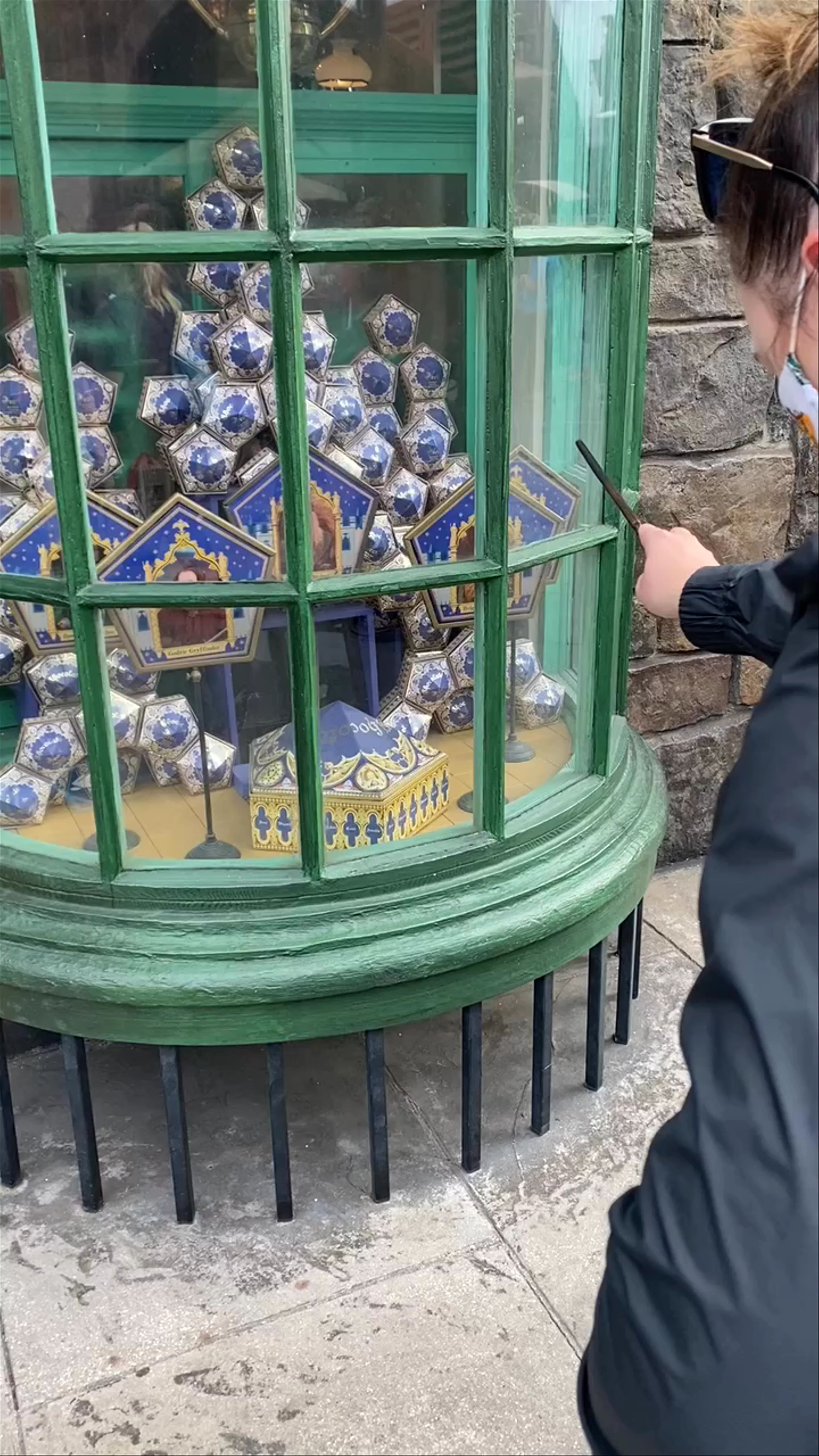 The Wizarding World Of Harry Potter