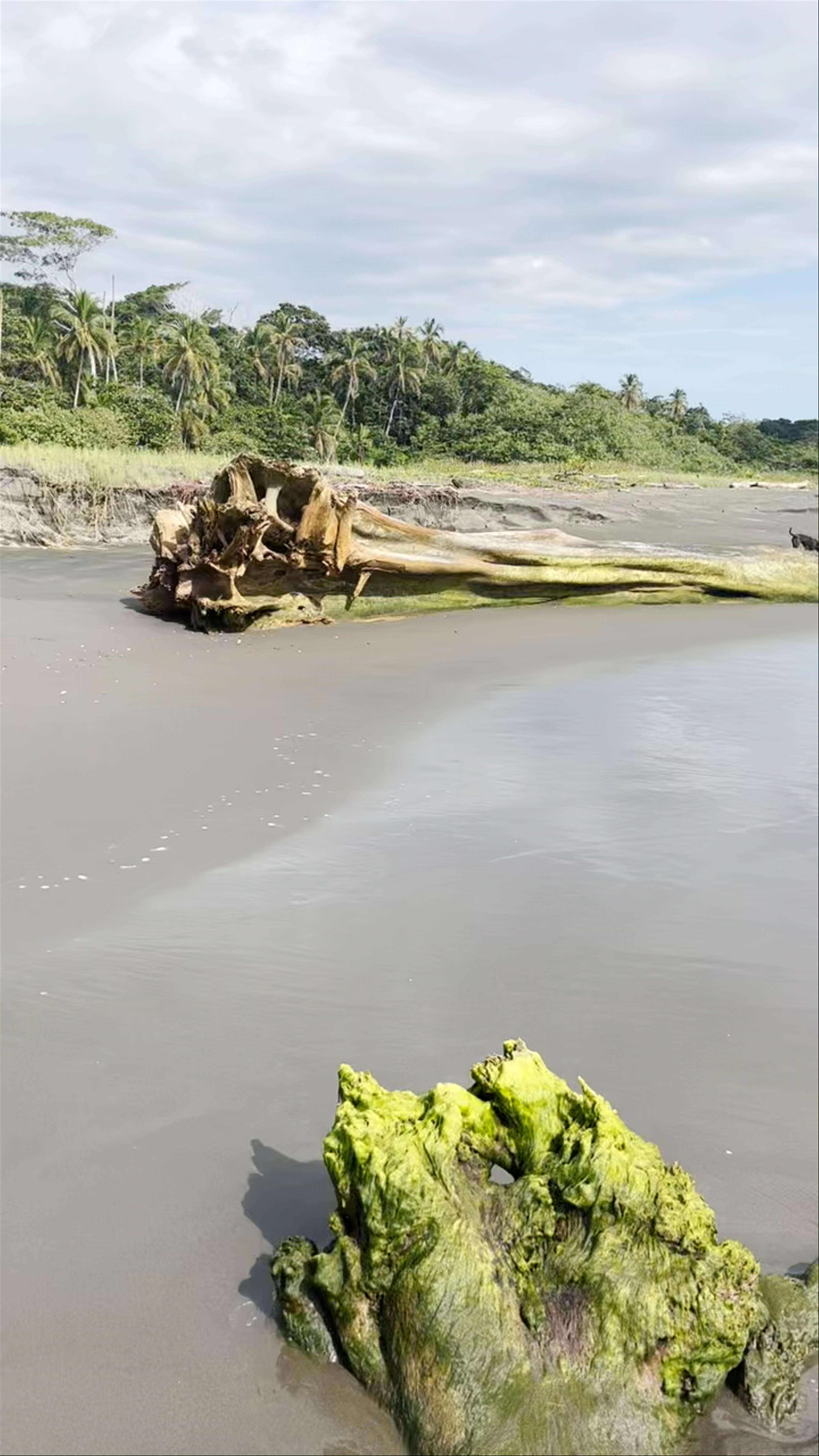 Playa Grande en Cahuita