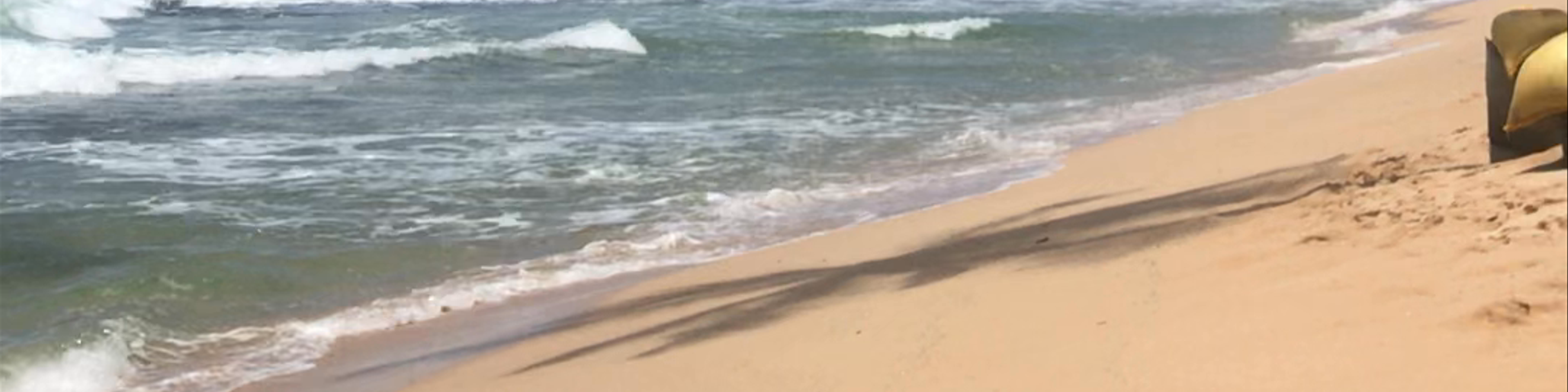 Galle