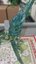 Small image 7