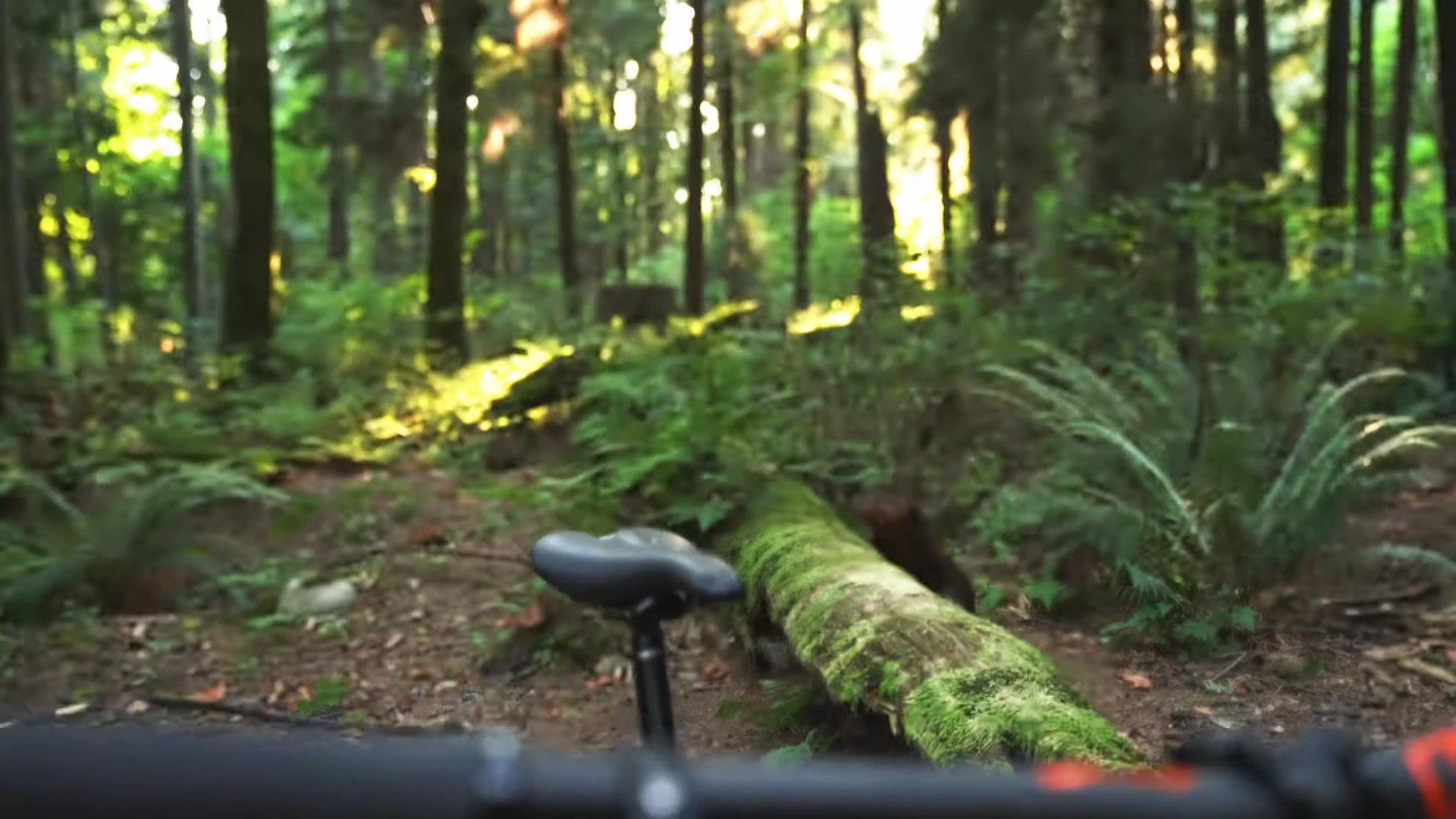 Portfolio clip by Tiziano M., Riverside videographer