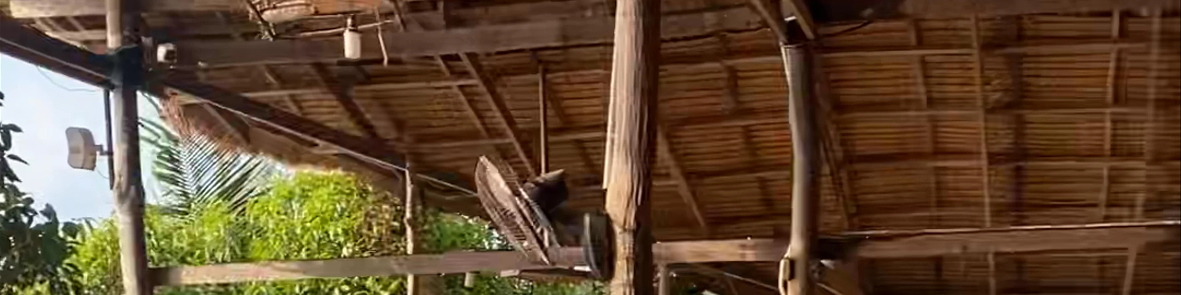 Mad Monkey Backpackers Resort Koh Rong Samloem