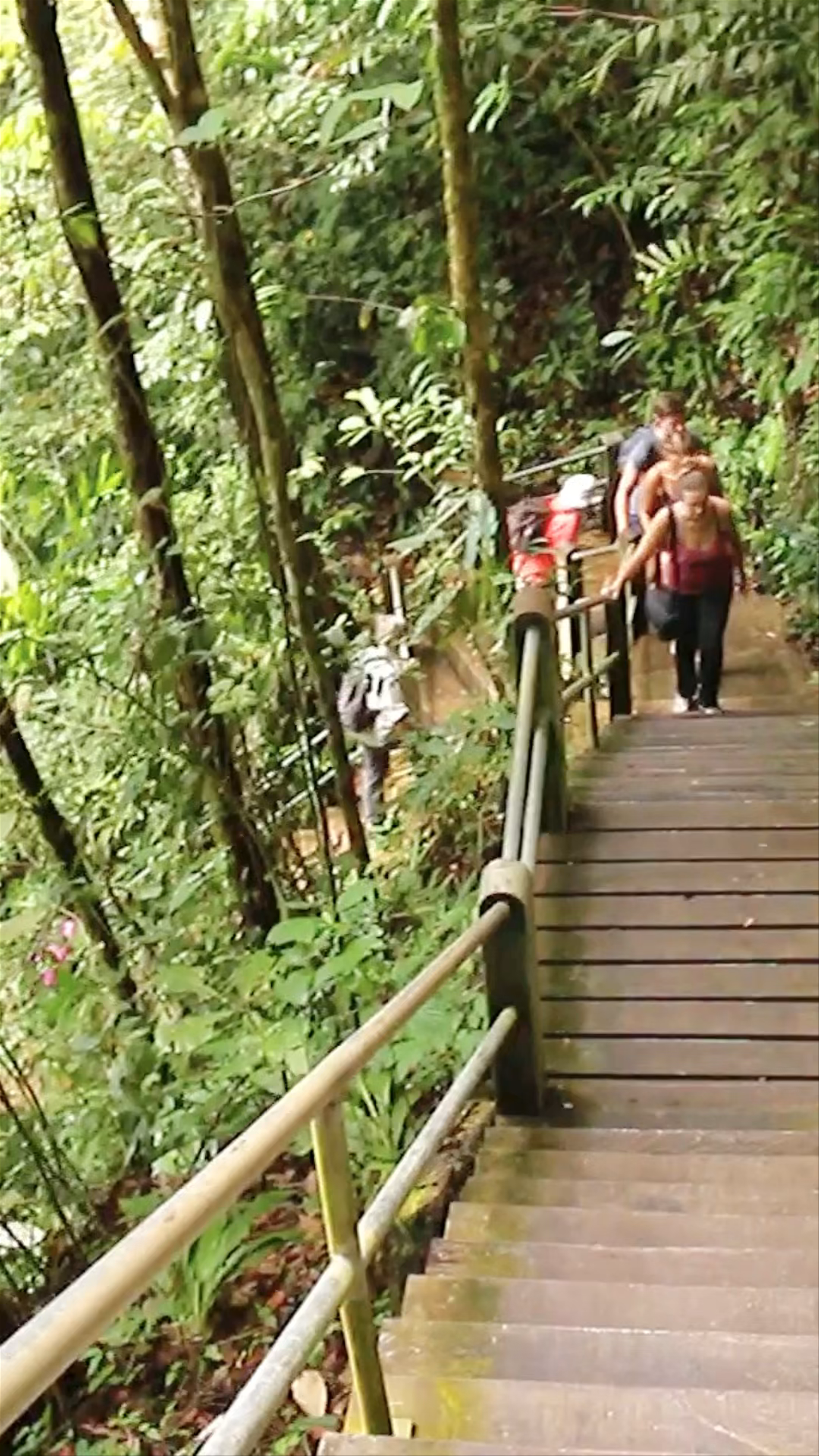 Clearwater Cave (Gua Air Jernih)