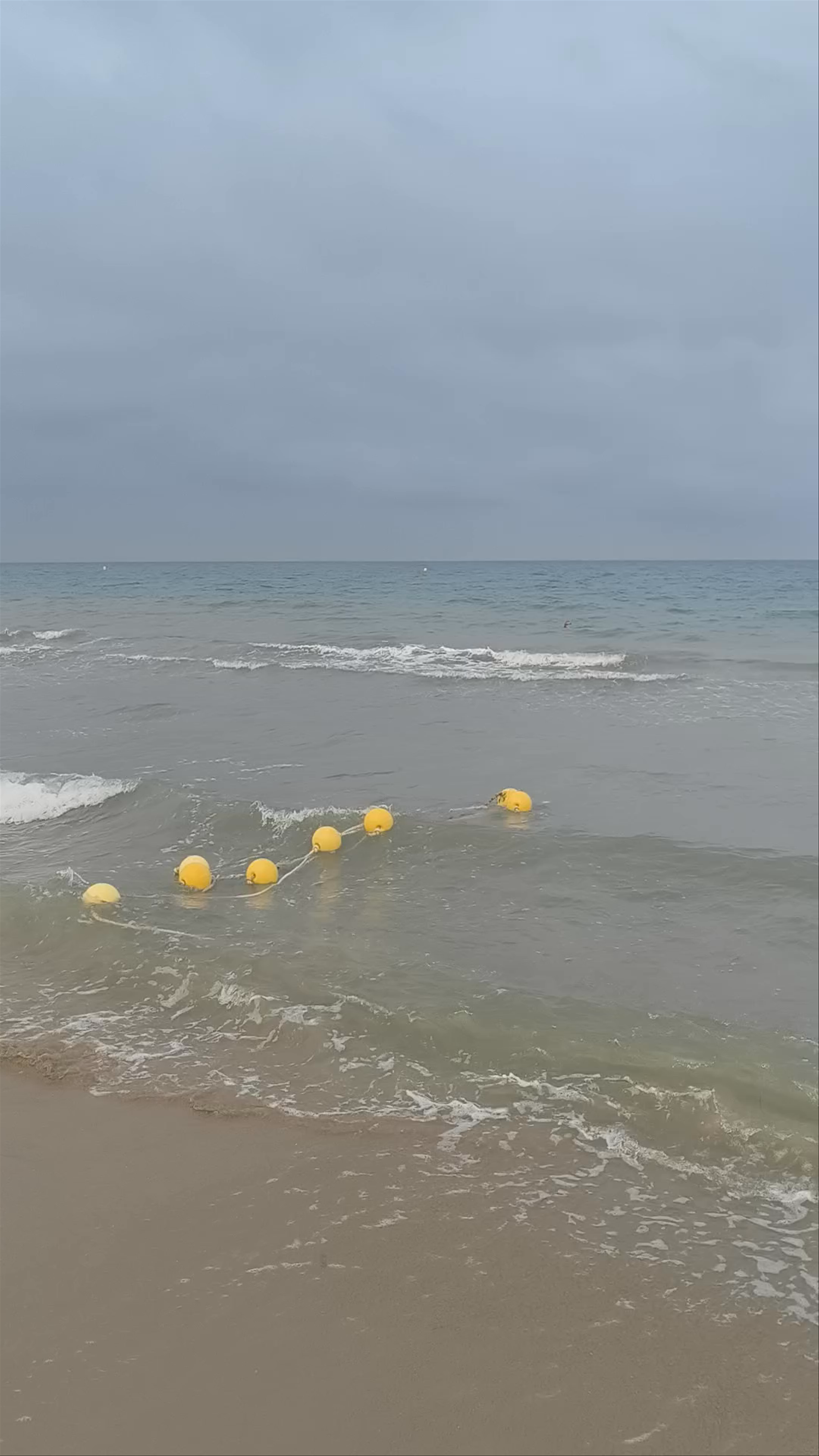 La Marina