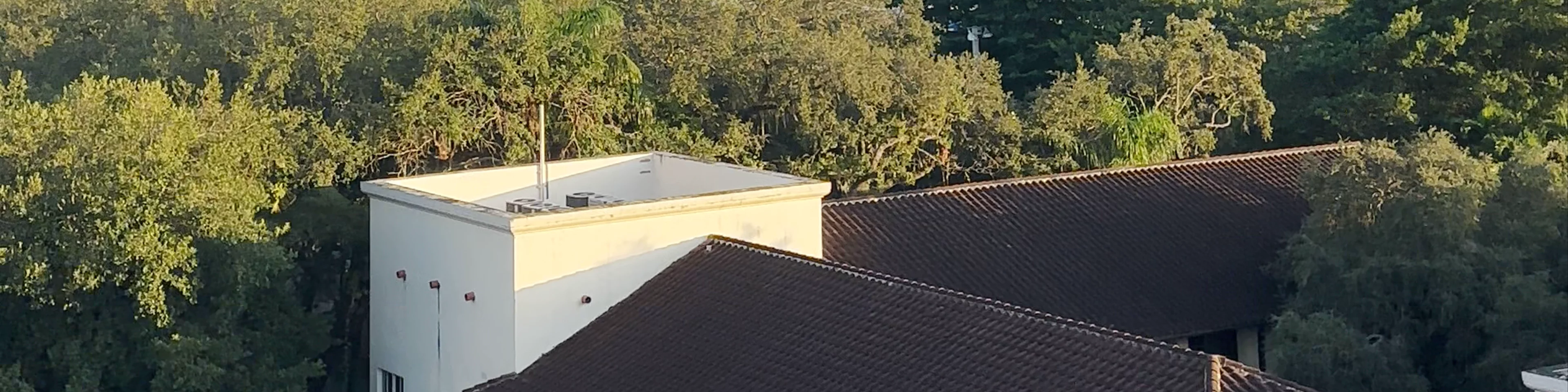 Bellini (Coconut Grove)