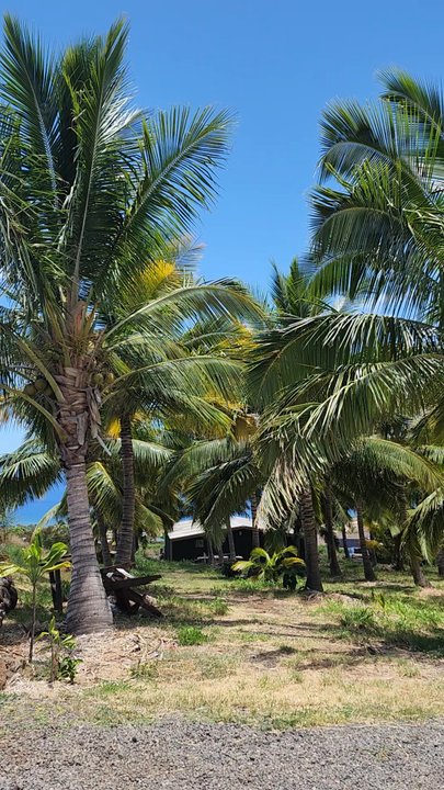 Punakea Palms - Tours Near Me - Lahaina, Hawaii