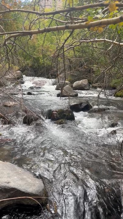 Creekside Rv Park - RV Parks Near Me - Bishop, California