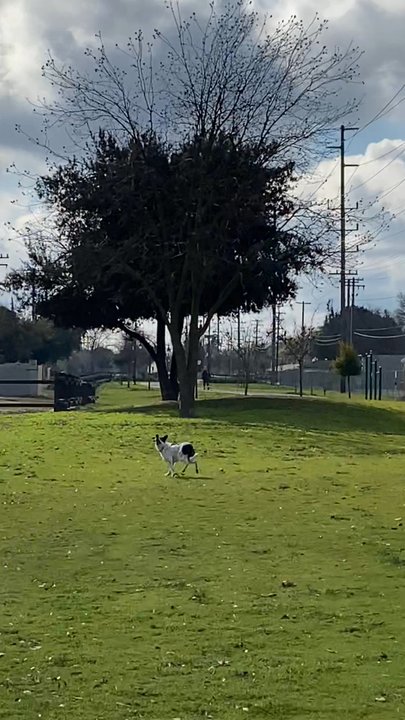 Virginia Corridor Trailway - Parks Near Me - Modesto, California