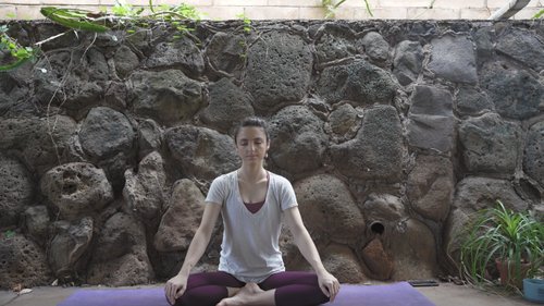 Vinyasa Yoga: Grounding Slow Flow