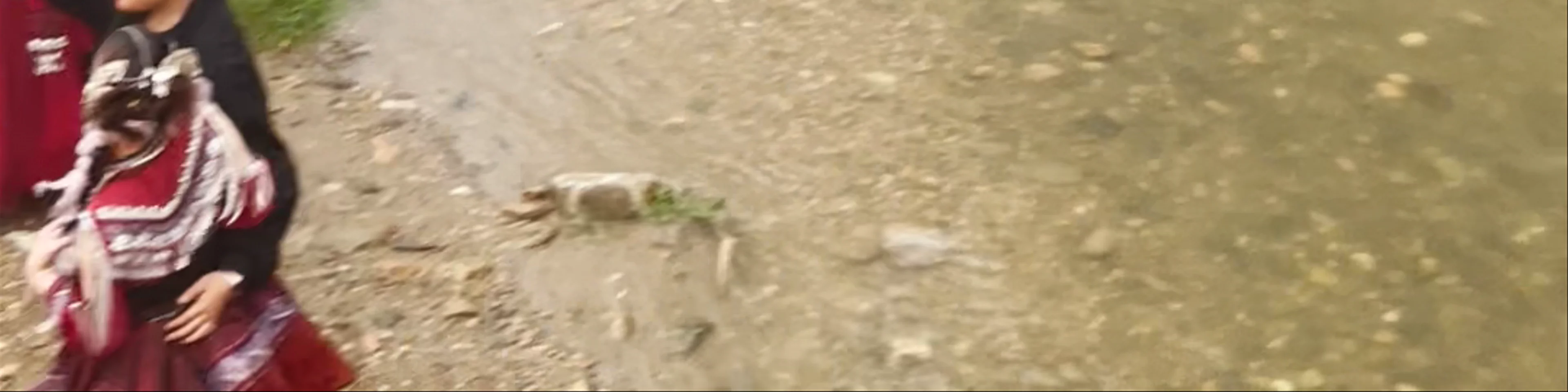 Nhà hát CatCat