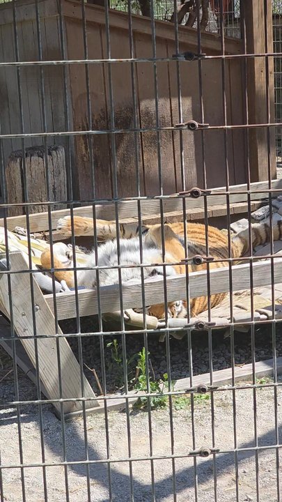 BIG RUN WOLF RANCH - Updated June 2026 - 399 Photos & 39 Reviews ...