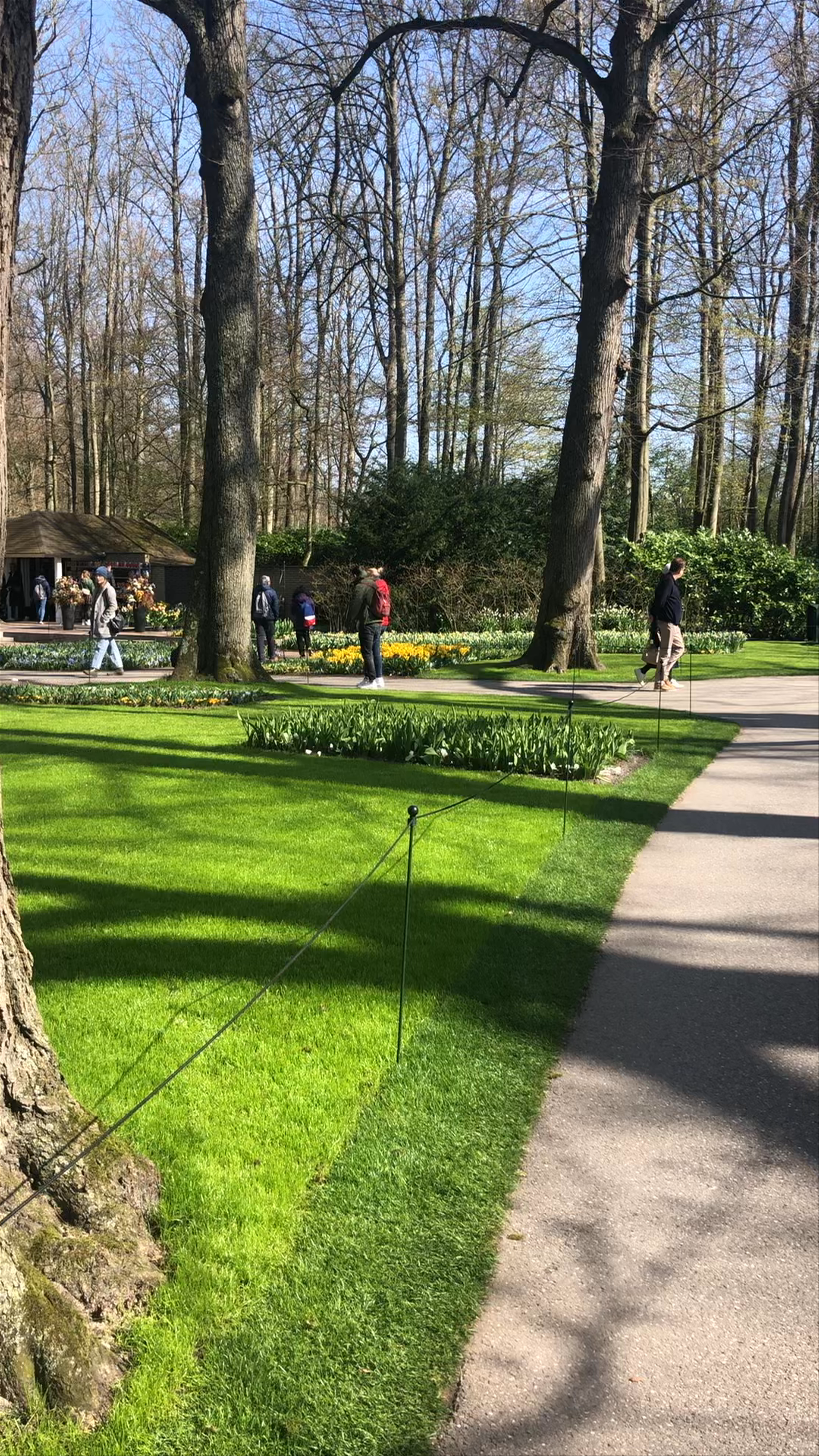 Keukenhof