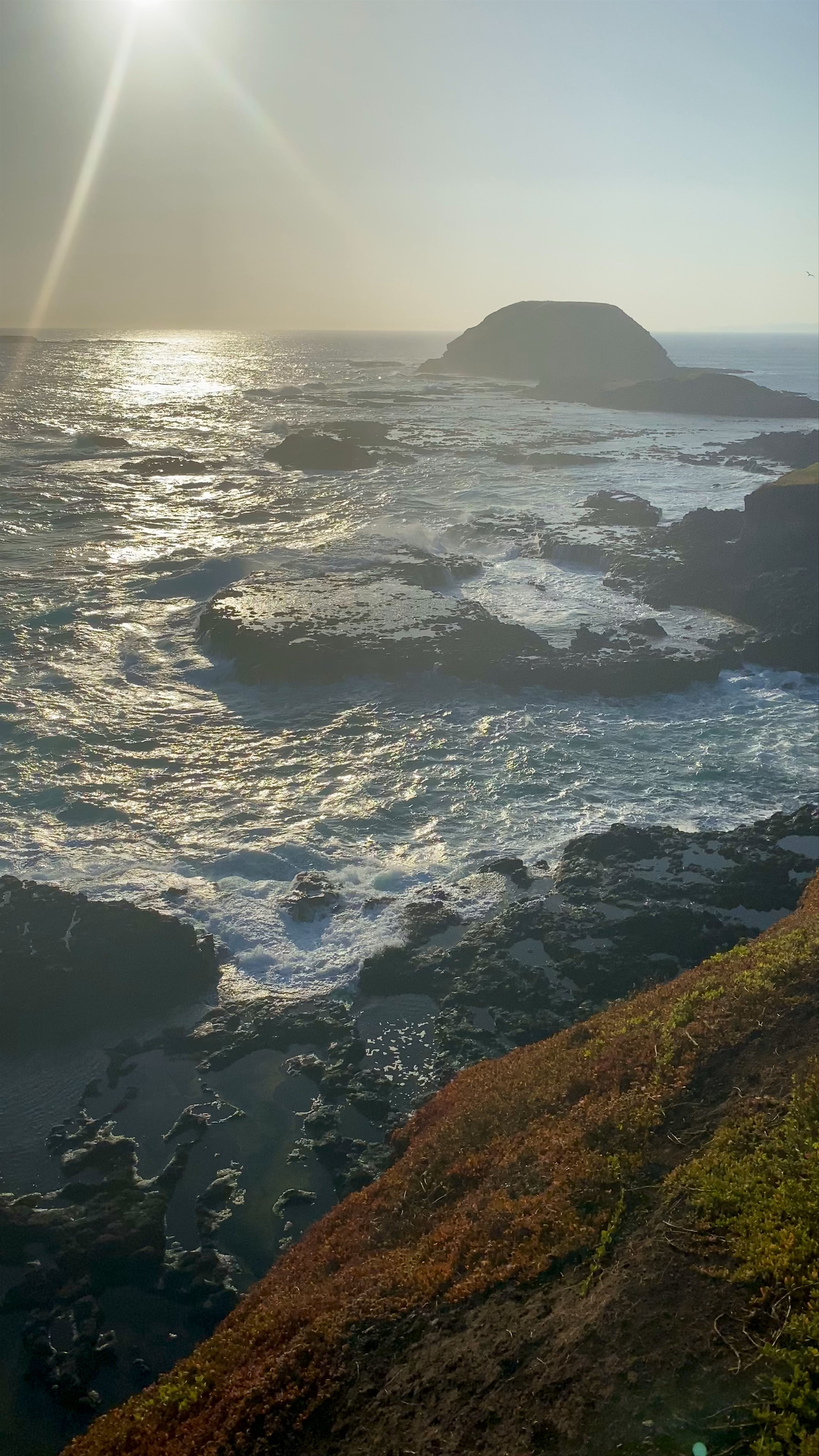 Great Ocean Road Tours