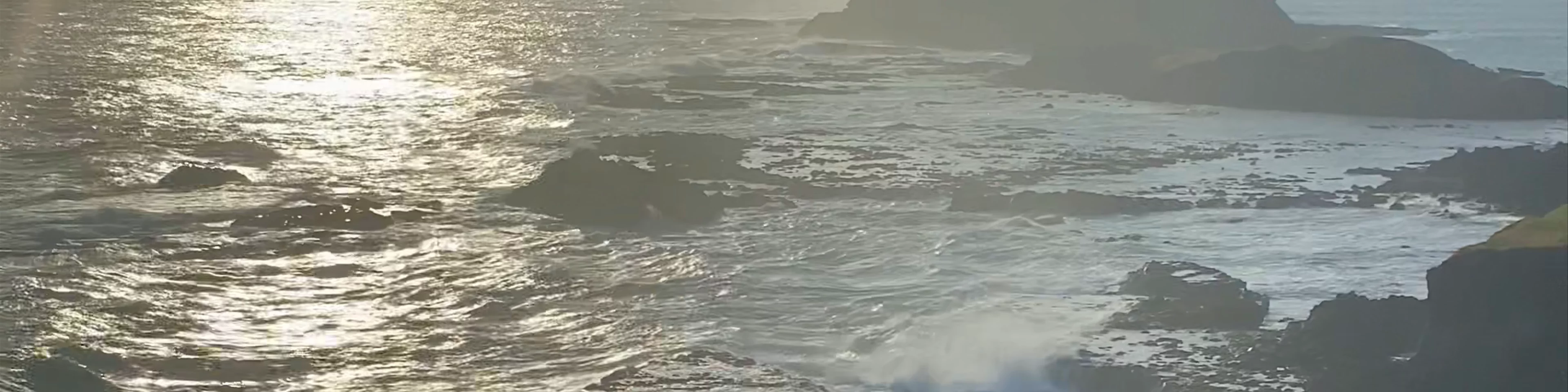 Great Ocean Road Tours