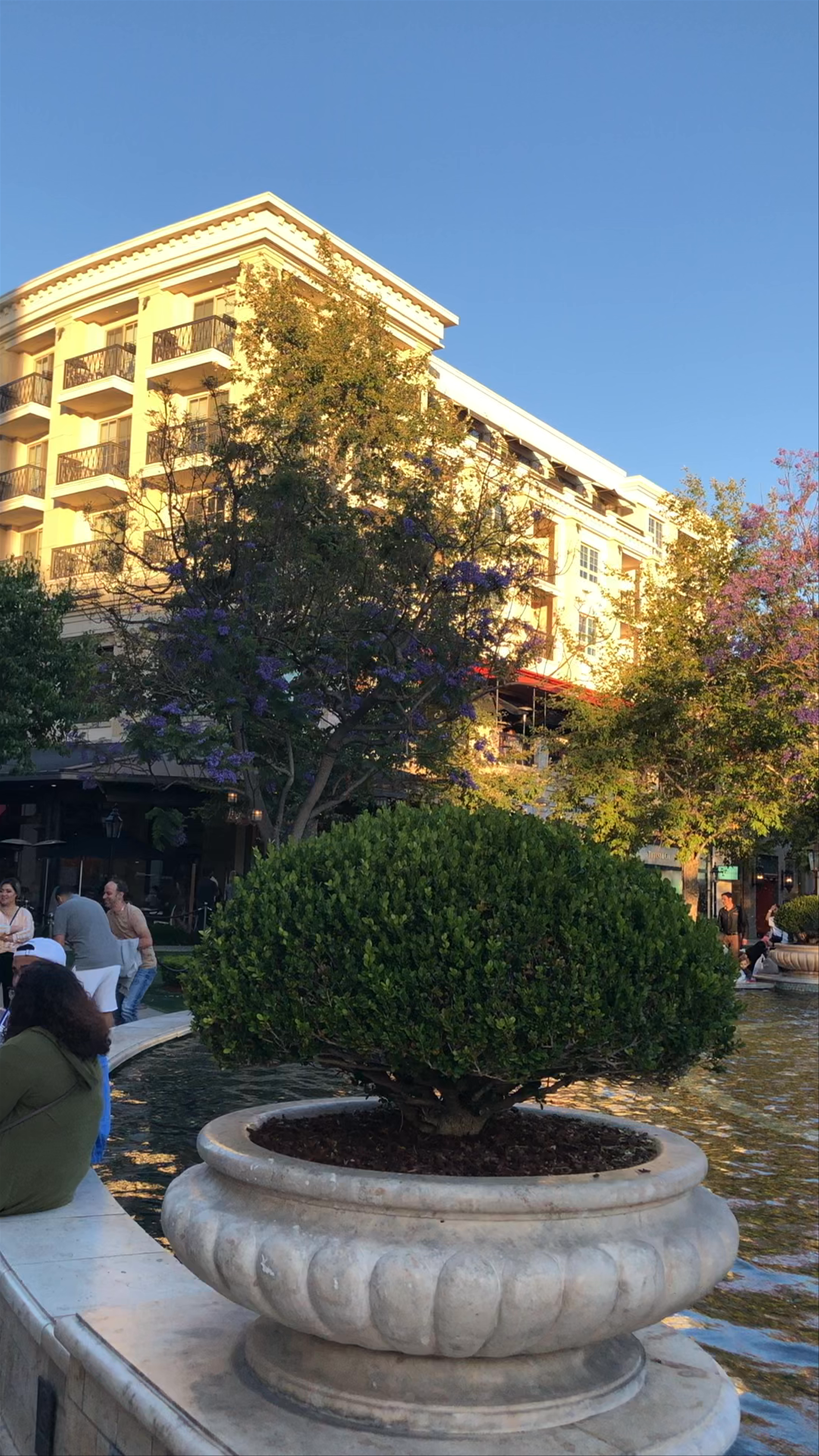 The Americana at Brand