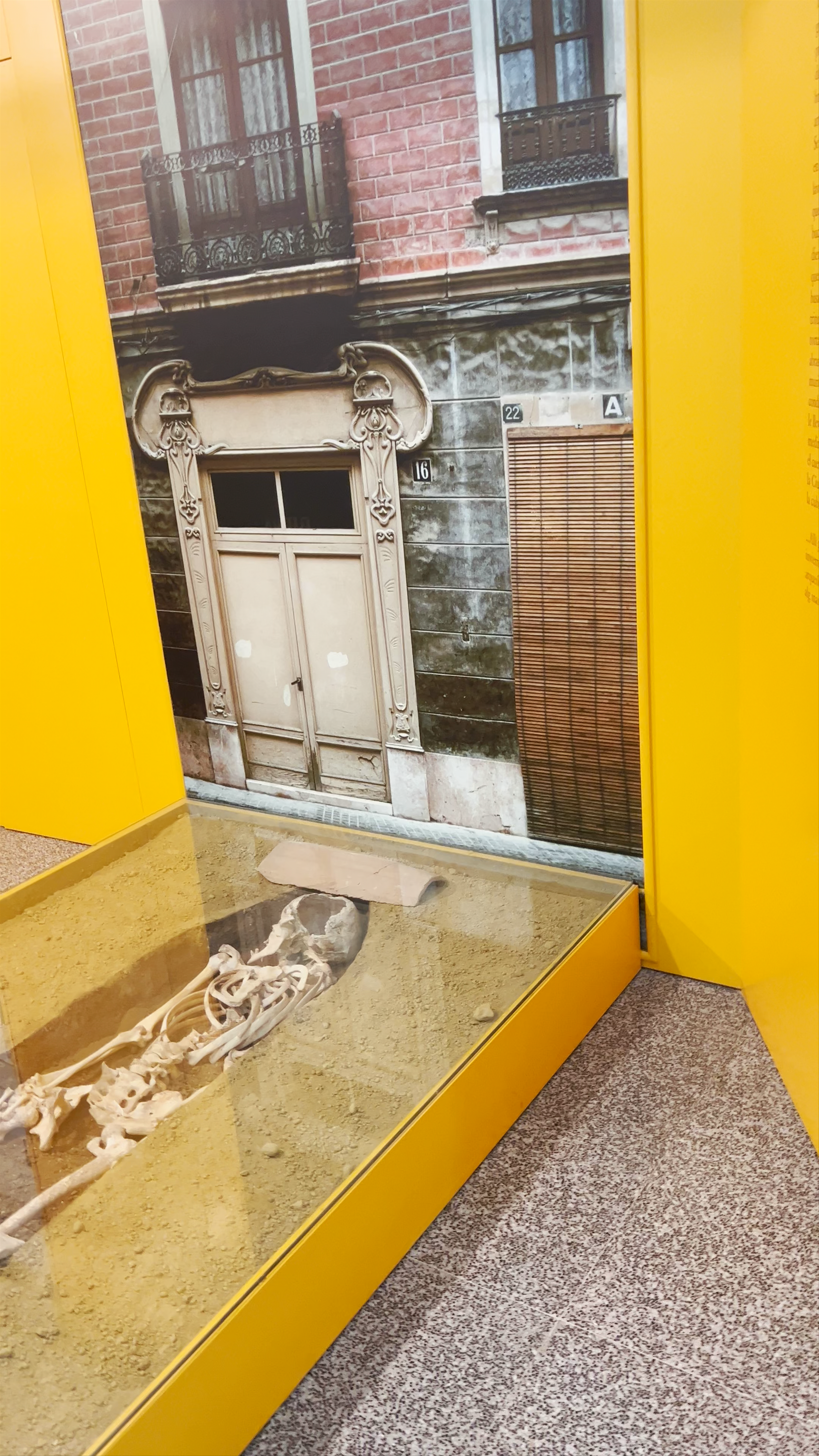 Archaeological Exhibit at Casa de la Cultura, Novelda