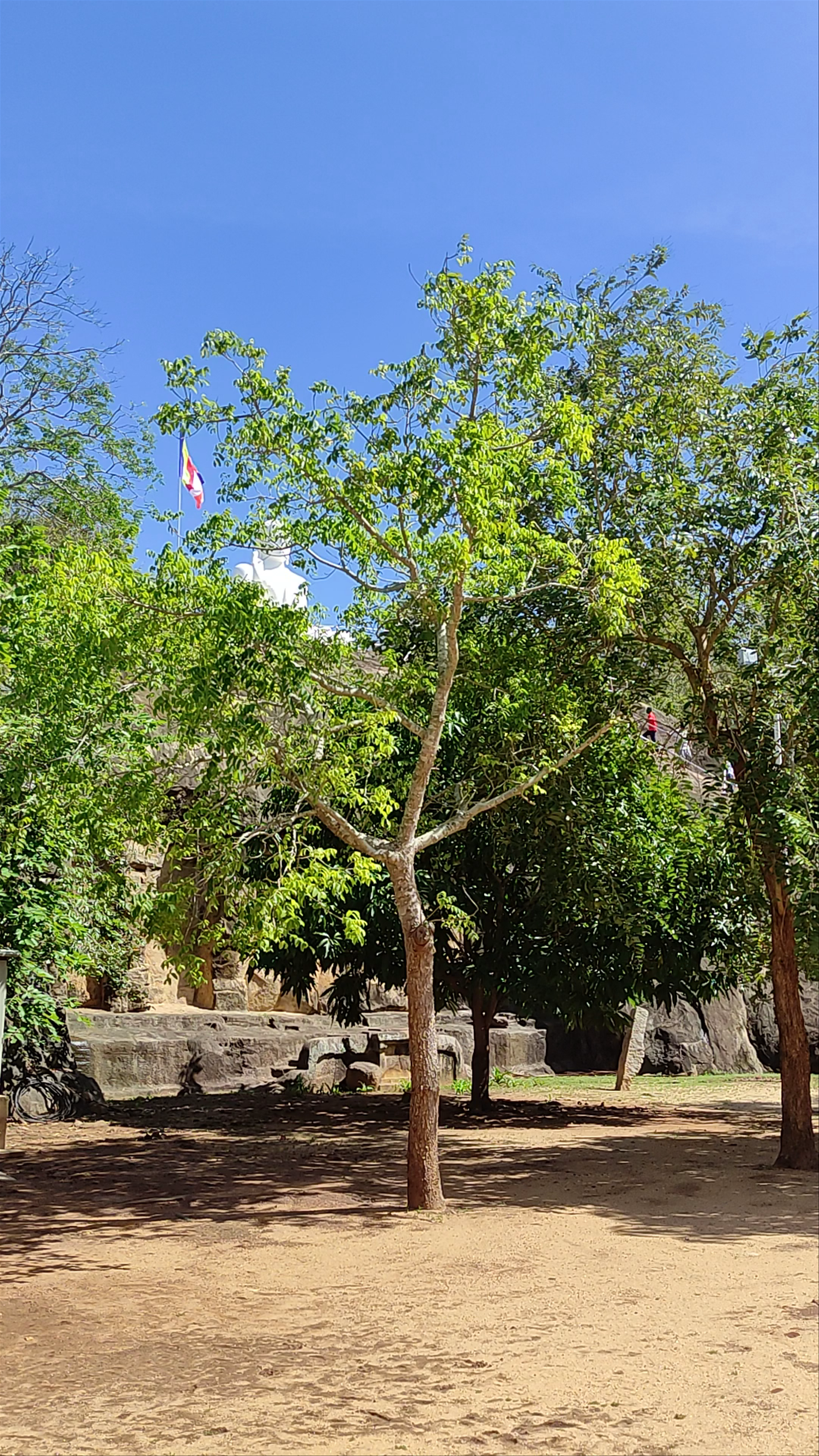 Archaeological Museum Mihintale - මිහින්තලේ පුරාවිද්‍යා කෞතුකාගාරය