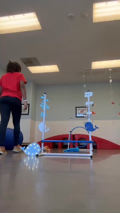 Camp Bow Wow - Whale watching work out - Pet Groomers Near Me - Sugar Land, Texas